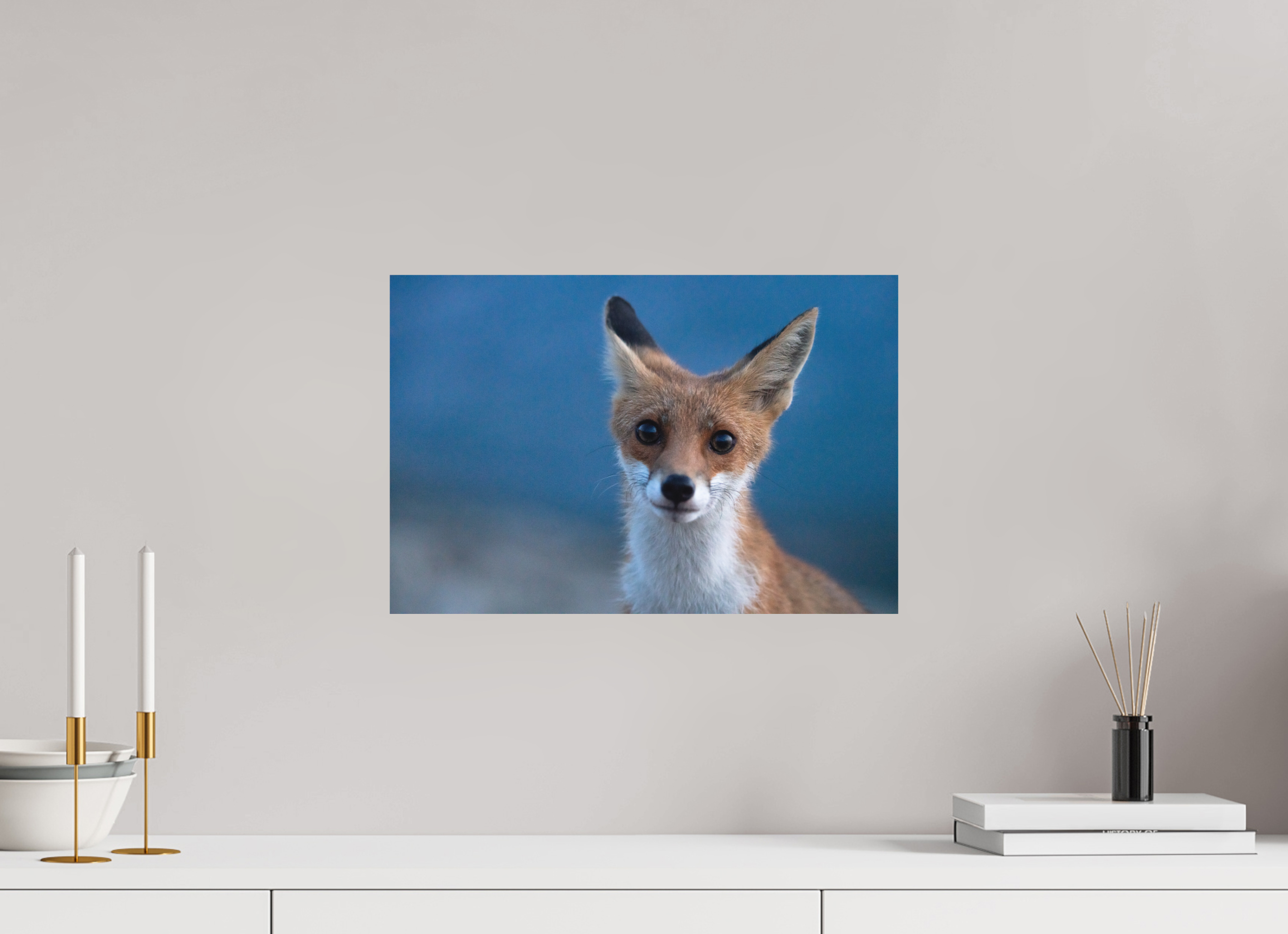 45 x 30 cm, Tirage photo - satiné Bruno le renardeau