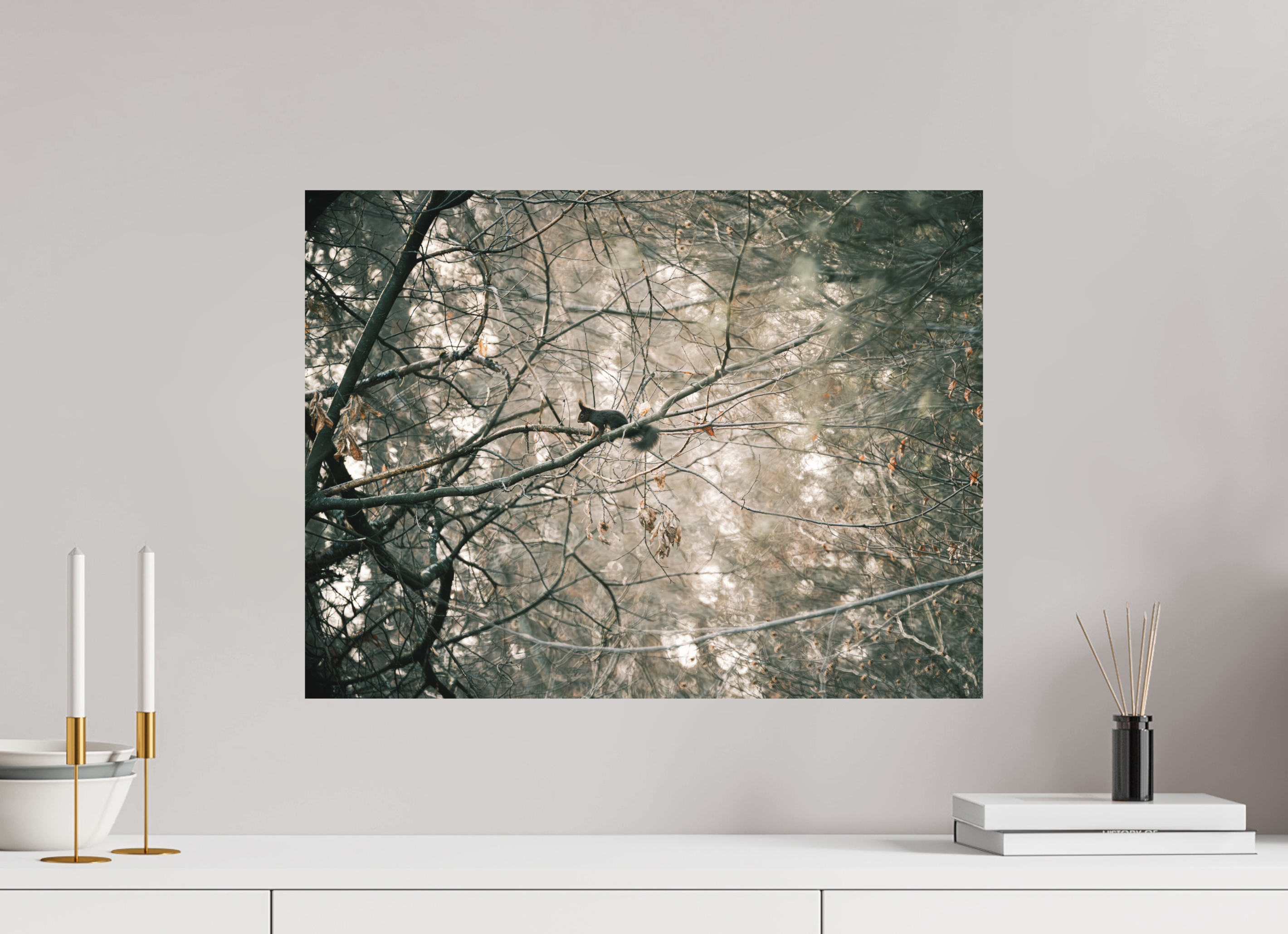 60 x 45 cm, Tirage photo - satiné Ecureuil