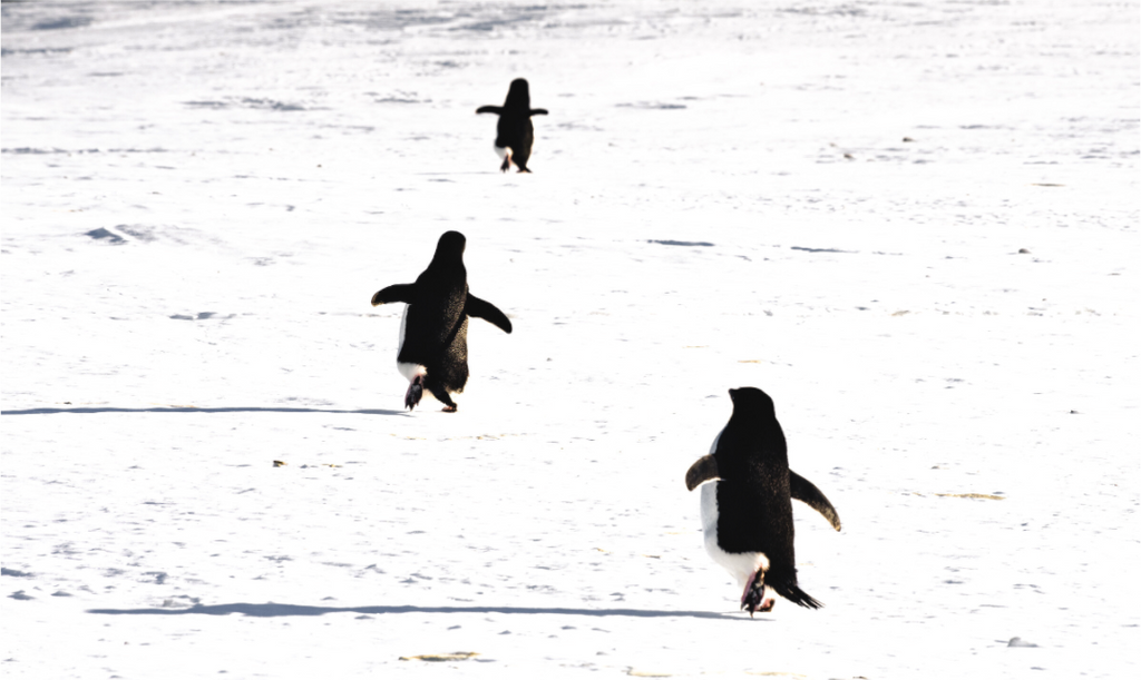 Main image La cour de récréation