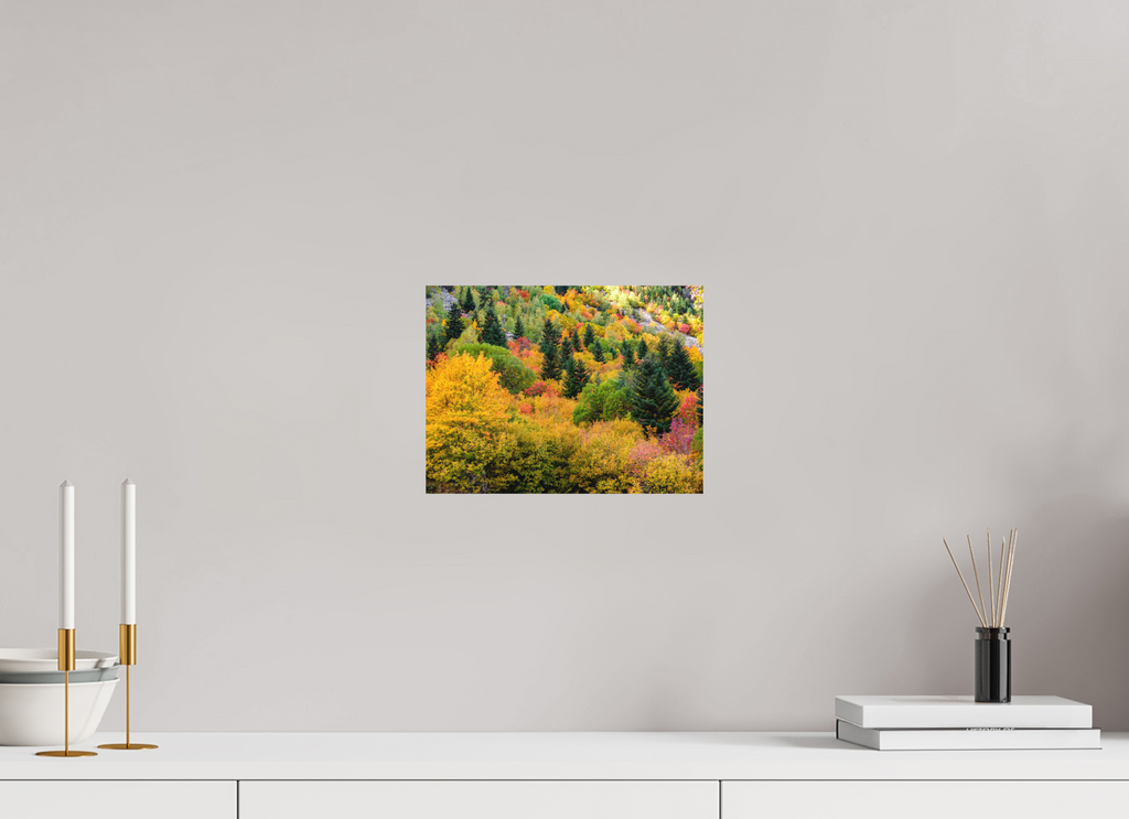 28 x 21 cm, Tirage photo - satiné Forêt de couleurs