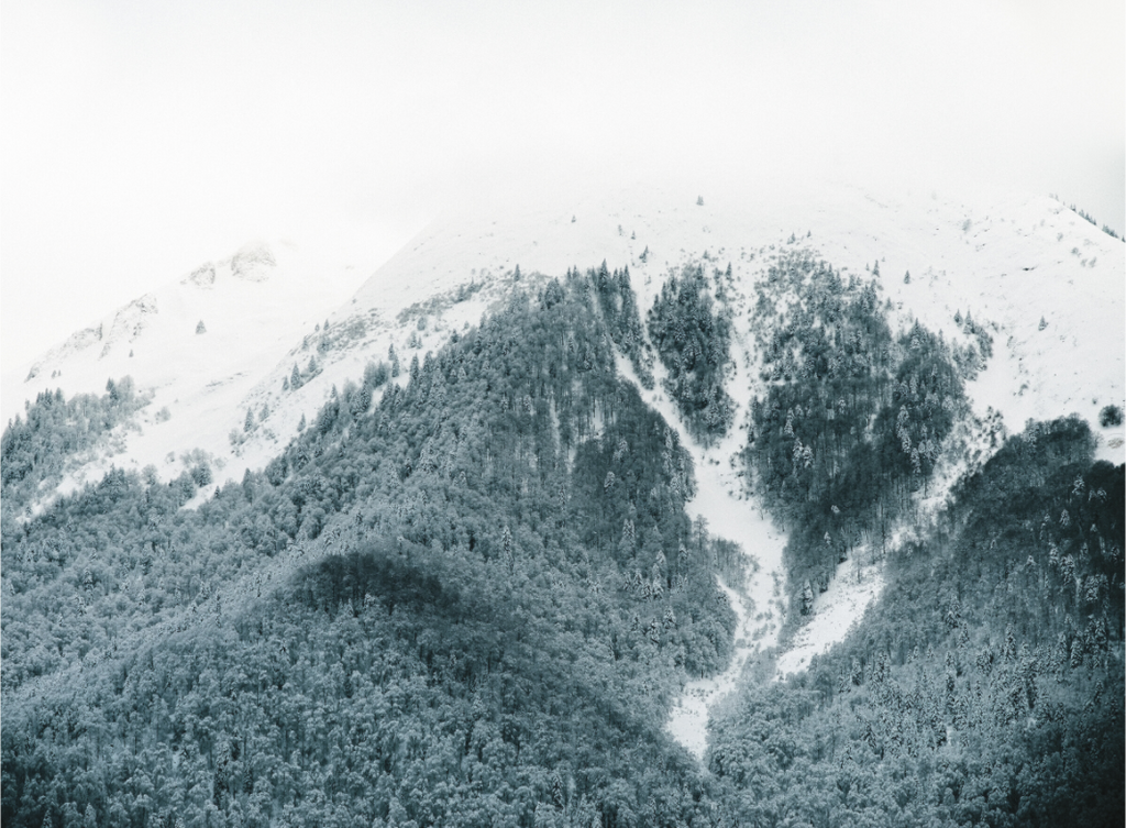 Main image Le Cagire