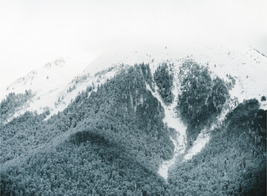 Main image Le Cagire