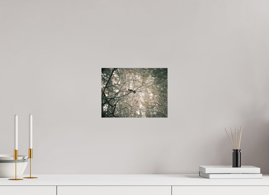 28 x 21 cm, Tirage photo - satiné Ecureuil