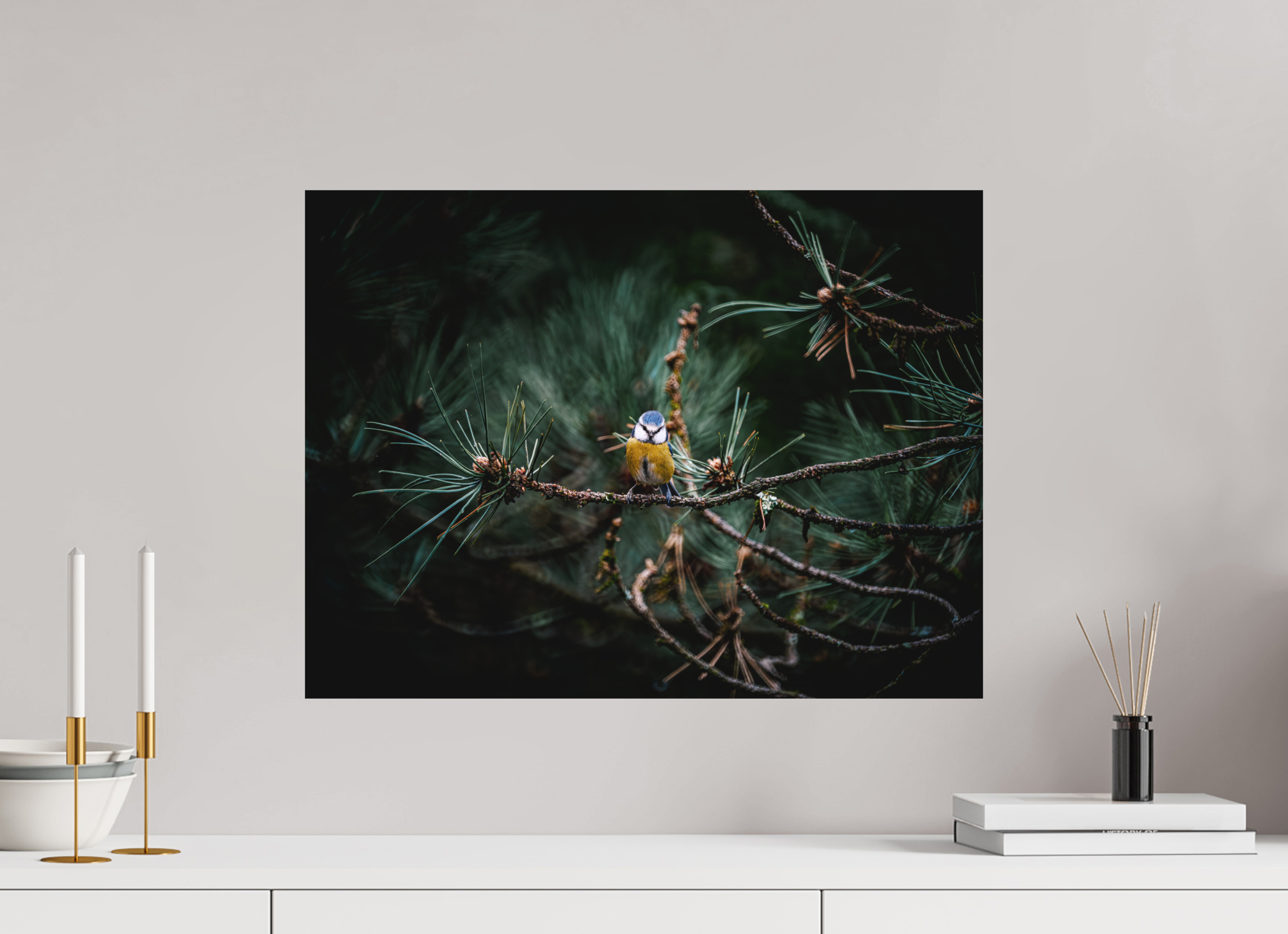 60 x 45 cm, Impression Fine Art - mat Mésange II