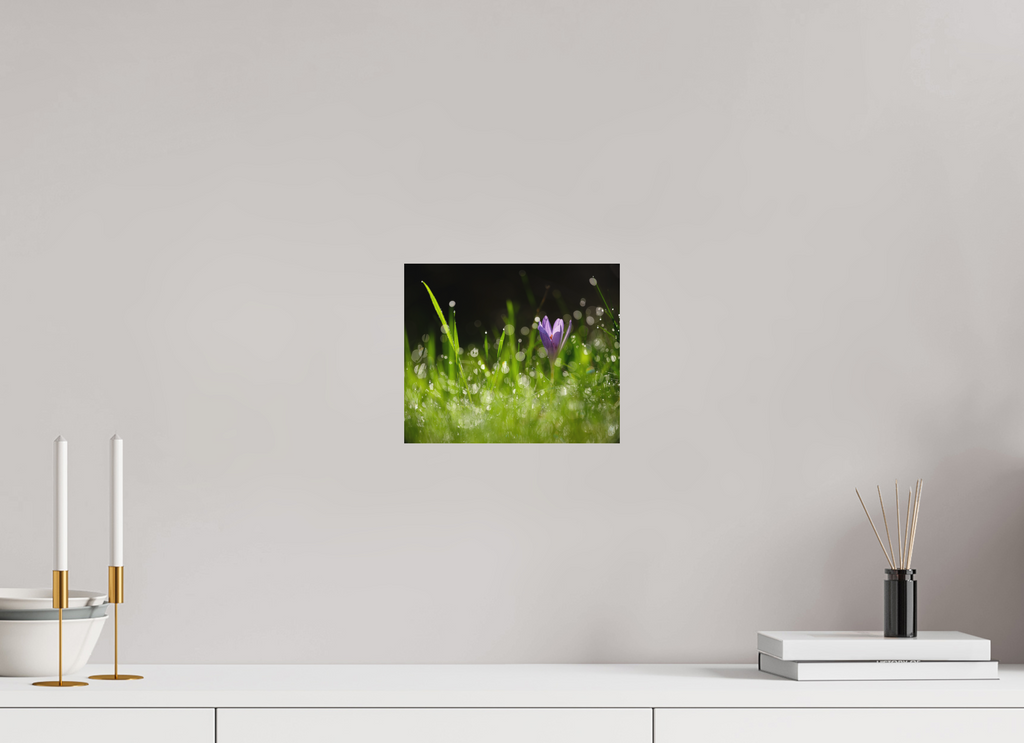 24 x 20 cm, Tirage photo - satiné fleurs