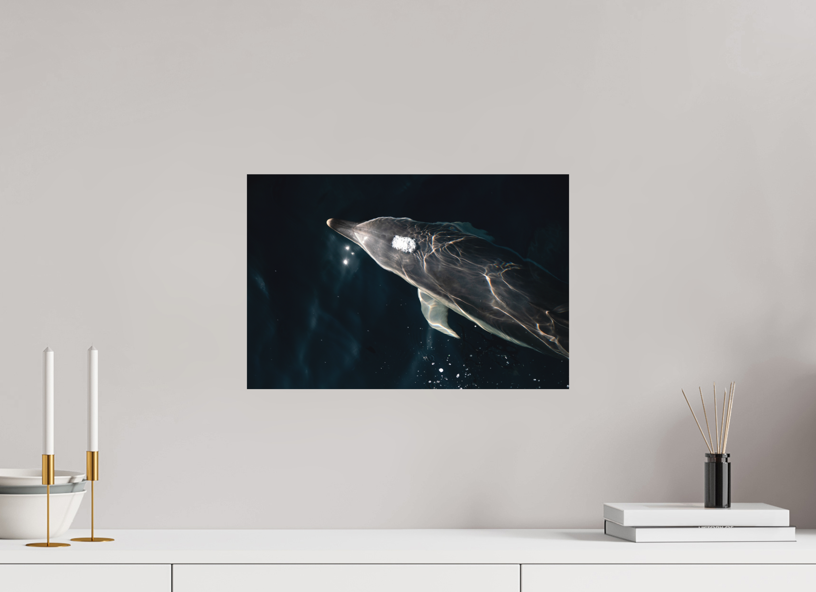 45 x 30 cm, Tirage photo - satiné Dauphin joueur