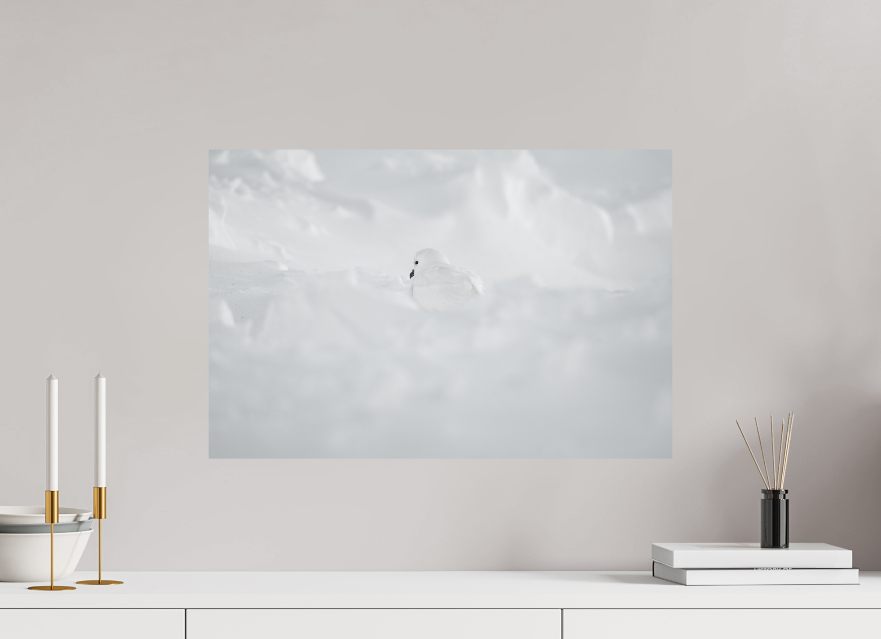 60 x 40 cm, Impression Fine Art - mat Le Pétrel des Neiges