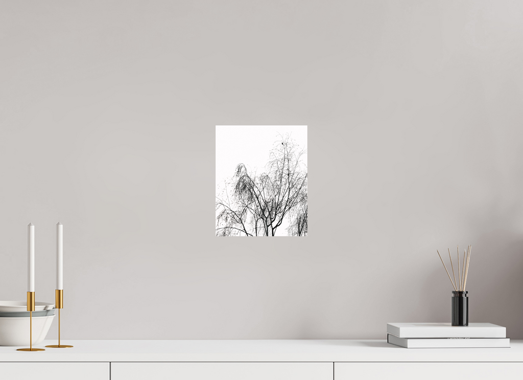 20 x 24,1 cm, Tirage photo - satiné Perché