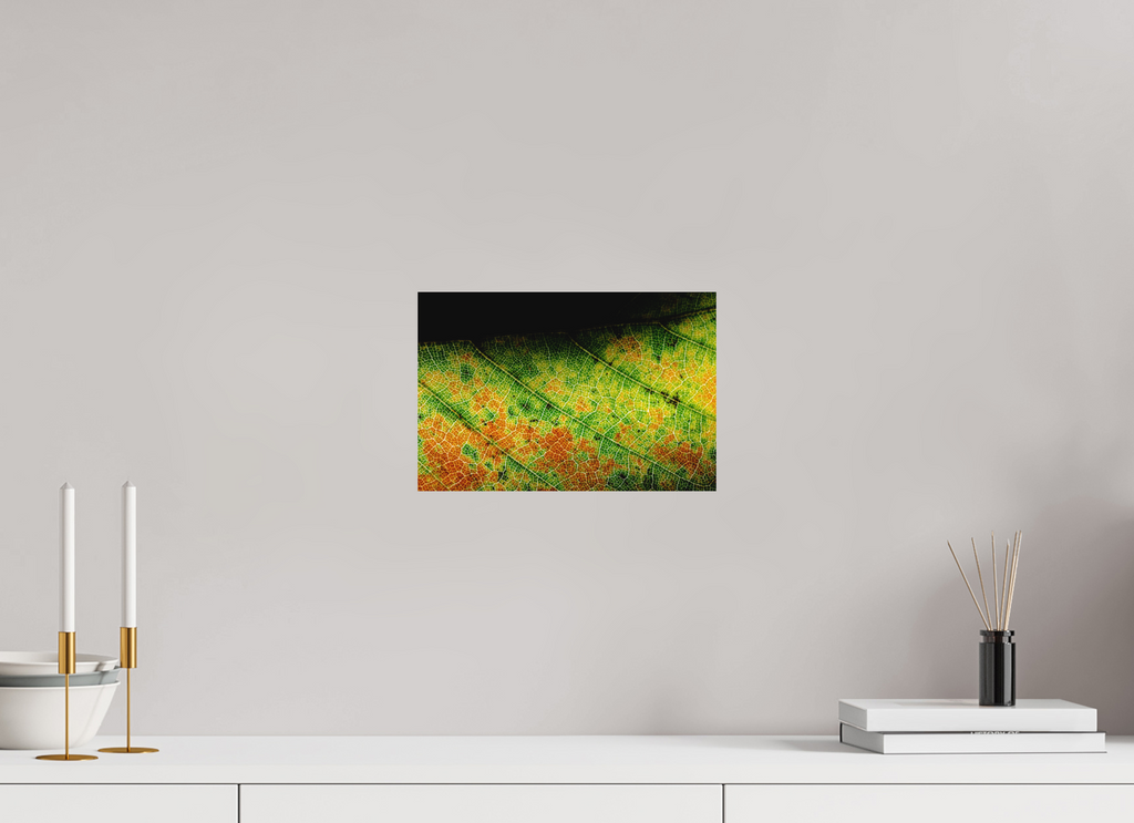 30 x 20 cm, Tirage photo - satiné Feuille