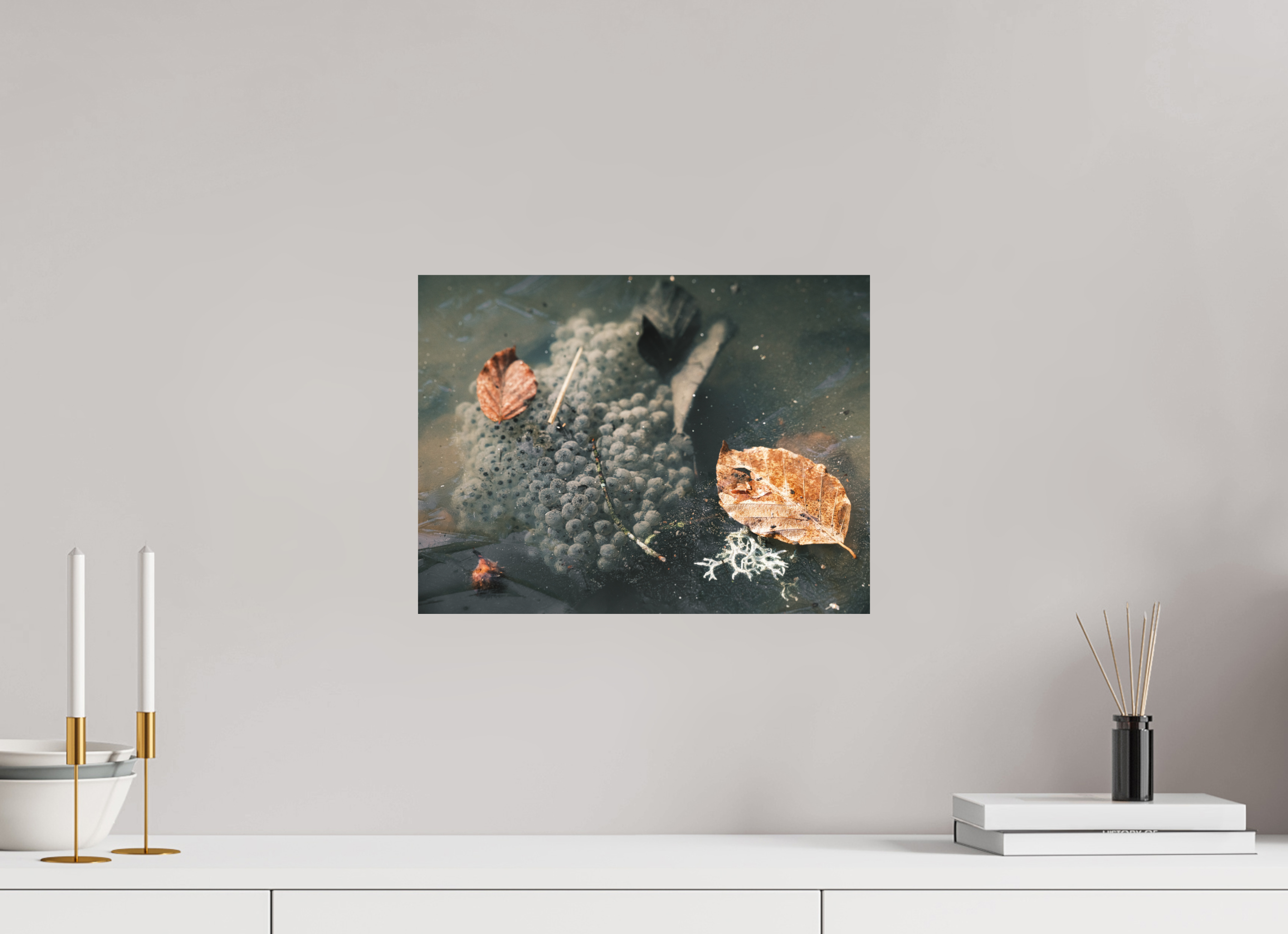 40 x 30 cm, Tirage photo - satiné Oeufs