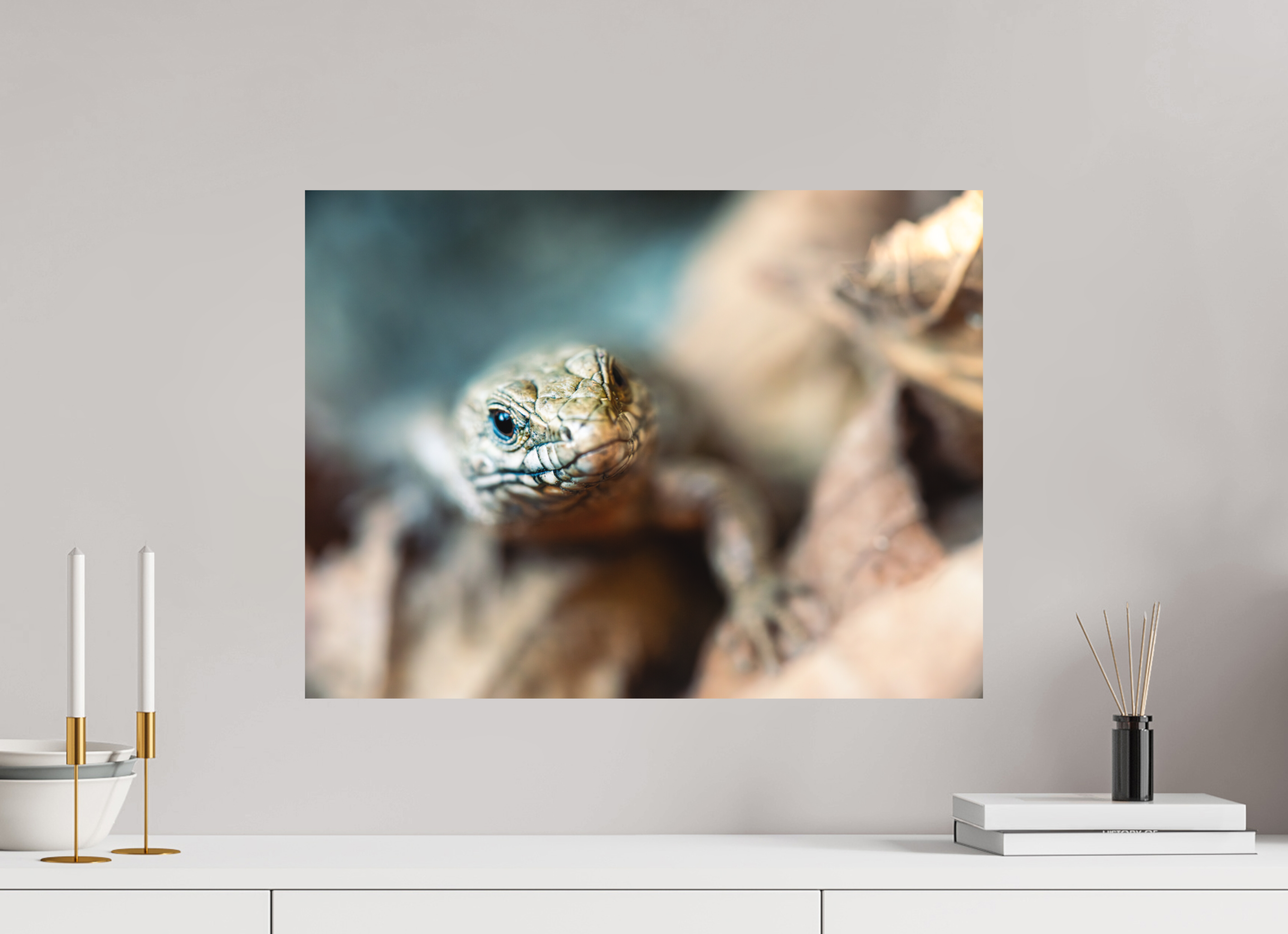 60 x 45 cm, Tirage photo - satiné Lezard