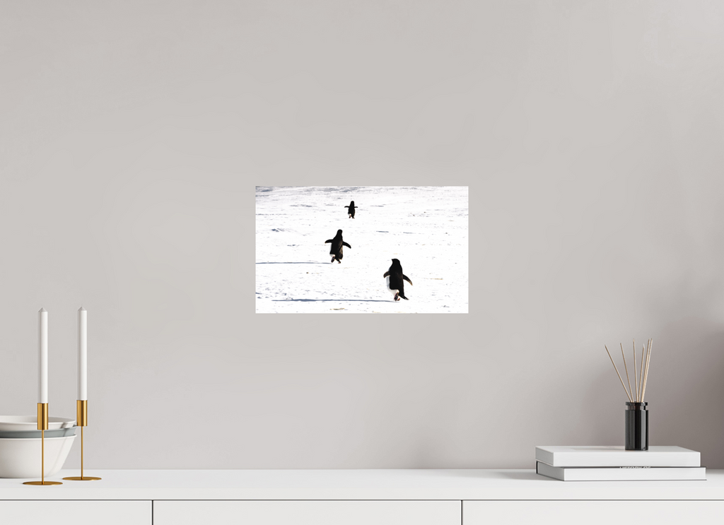 33,5 x 20 cm, Tirage photo - satiné La cour de récréation