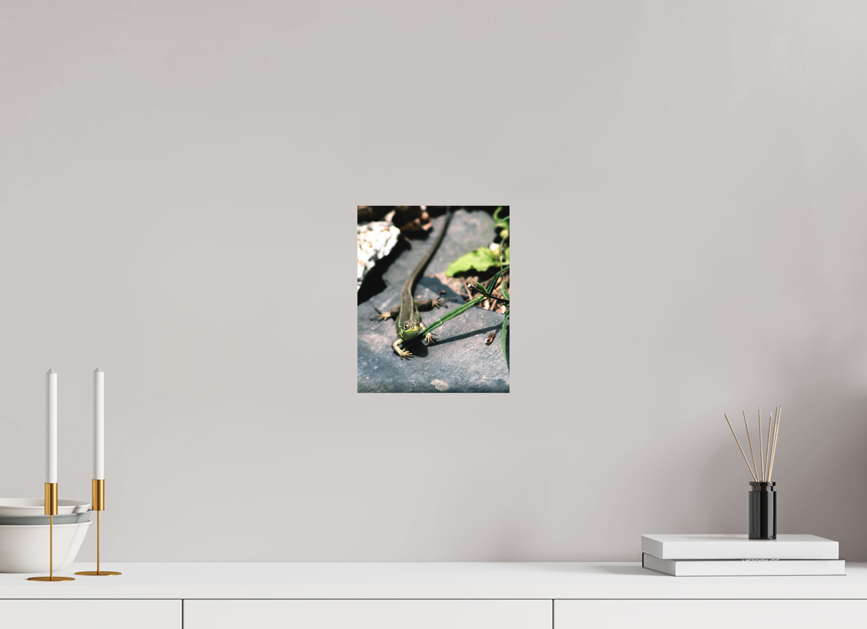 20 x 24,6 cm, Tirage photo - satiné Lezard