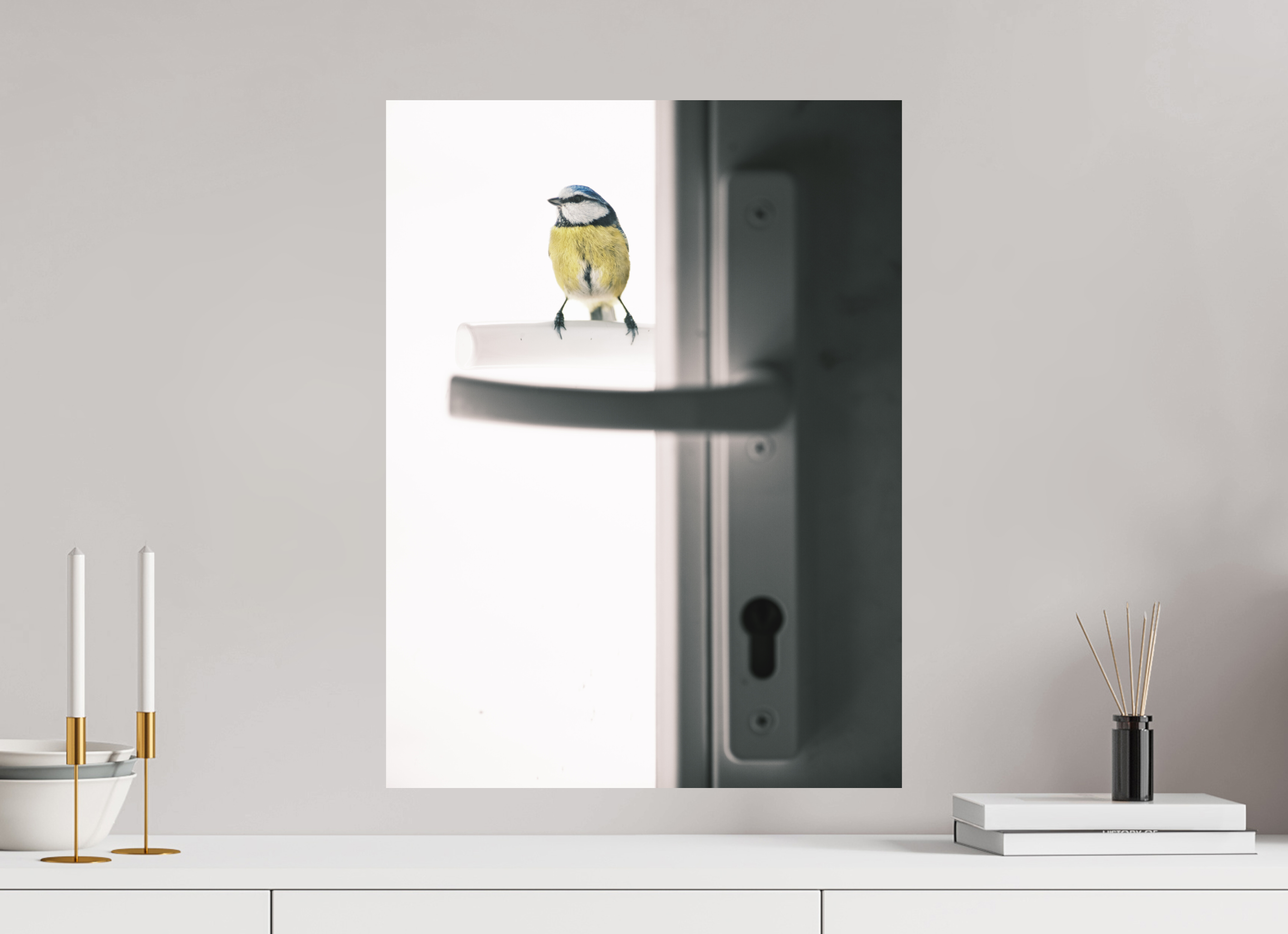 45 x 60 cm, Impression Fine Art sur support rigide - mat mésange bleue