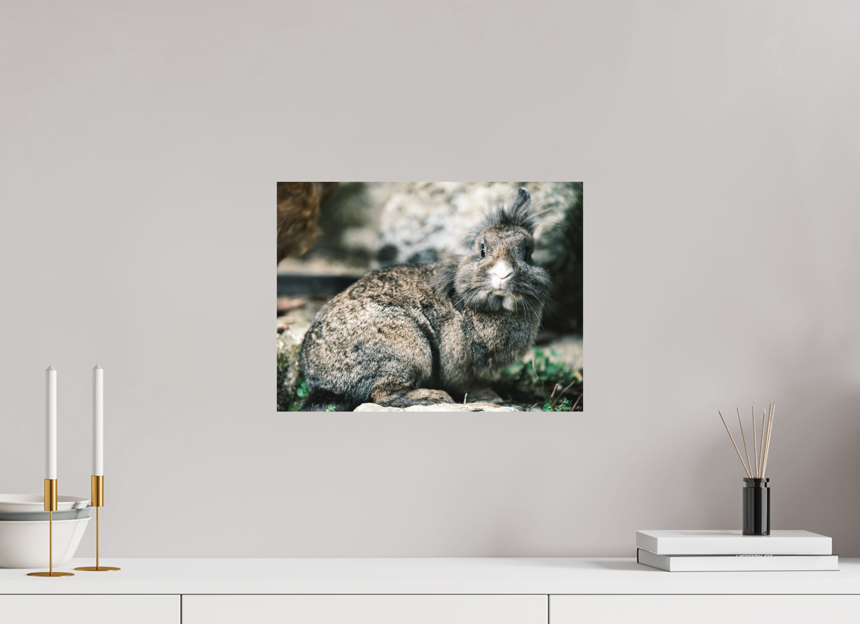 40 x 30 cm, Impression Fine Art sur support rigide - mat Lapin