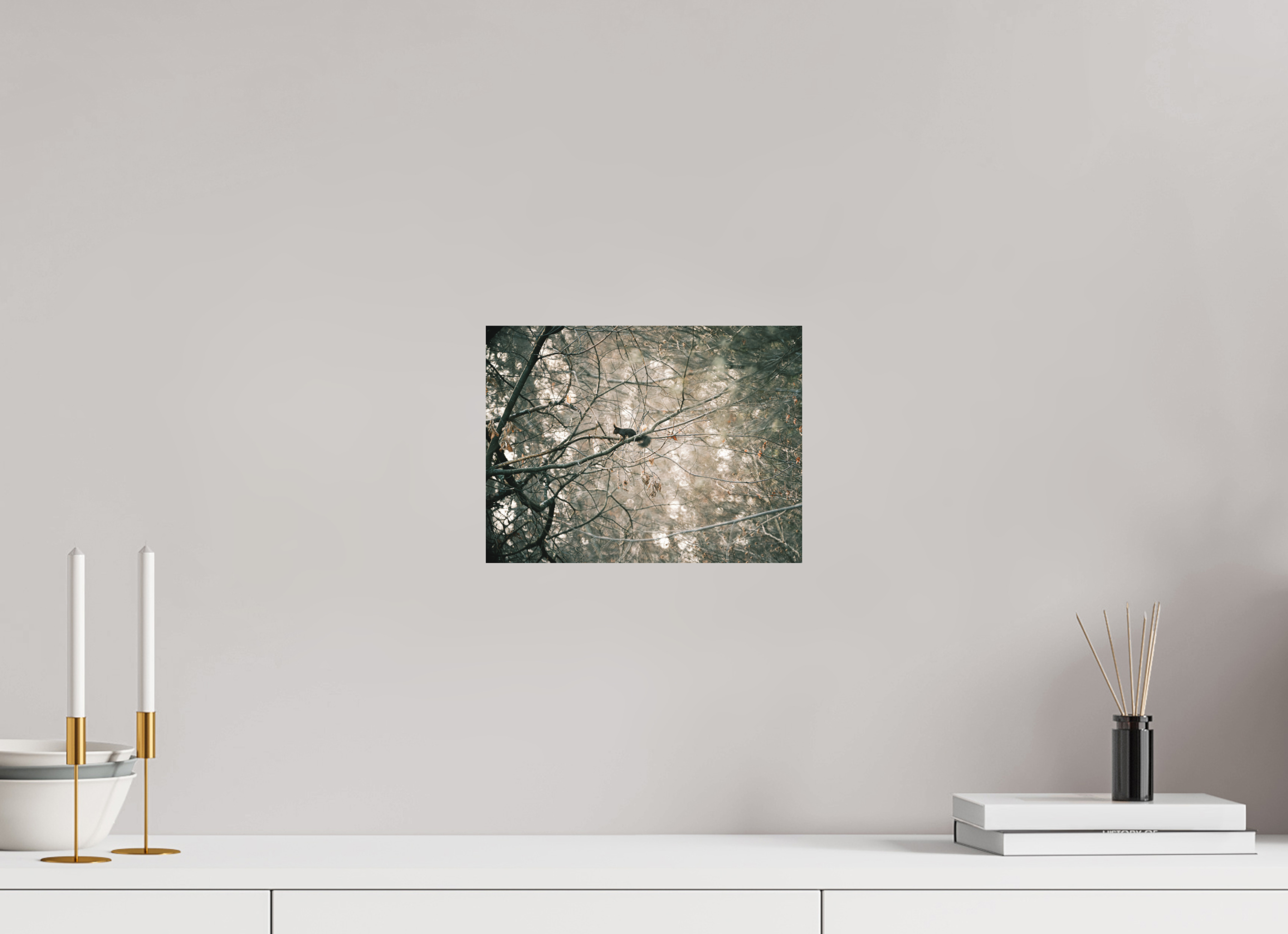 28 x 21 cm, Impression Fine Art - mat Ecureuil