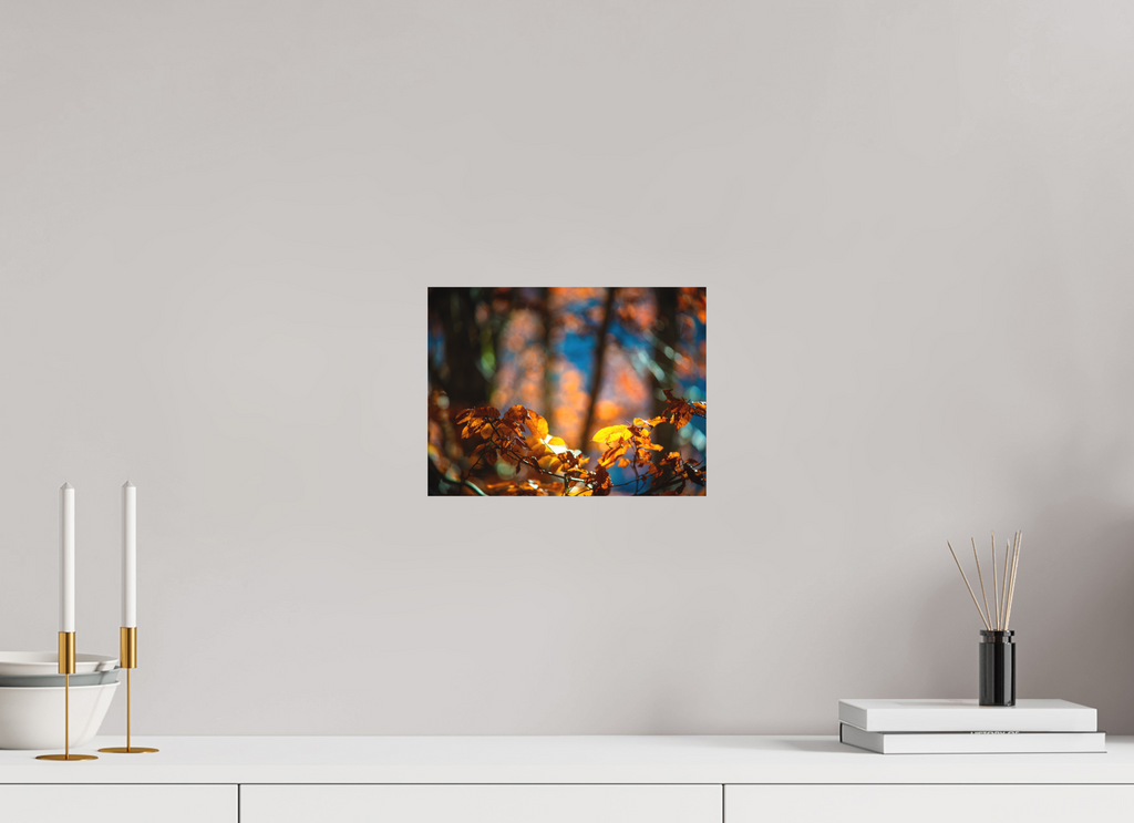 28 x 21 cm, Tirage photo - satiné La folie des couleurs I