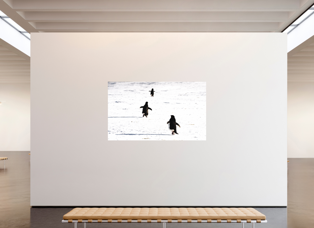 201,1 x 120 cm, Tirage photo - satiné La cour de récréation