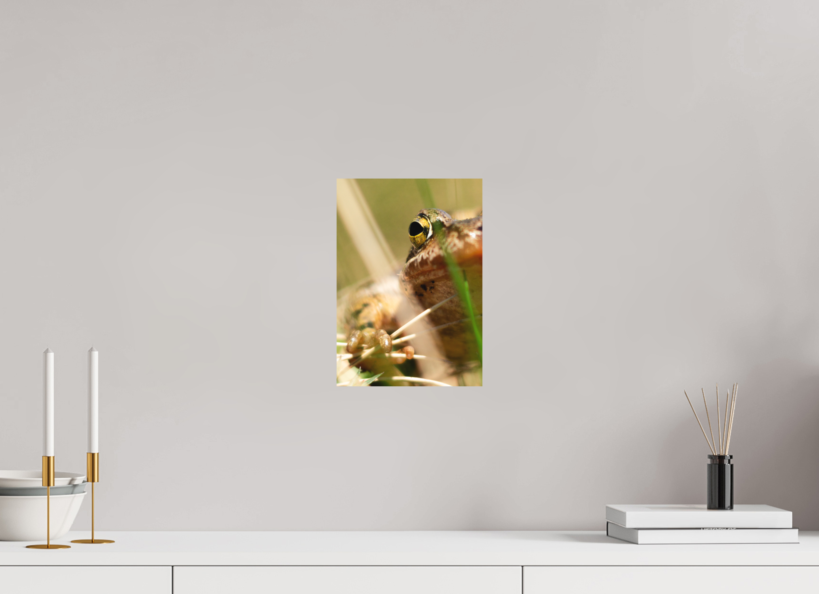 20 x 28,5 cm, Impression Fine Art sur support rigide - mat Grenouille Rousse