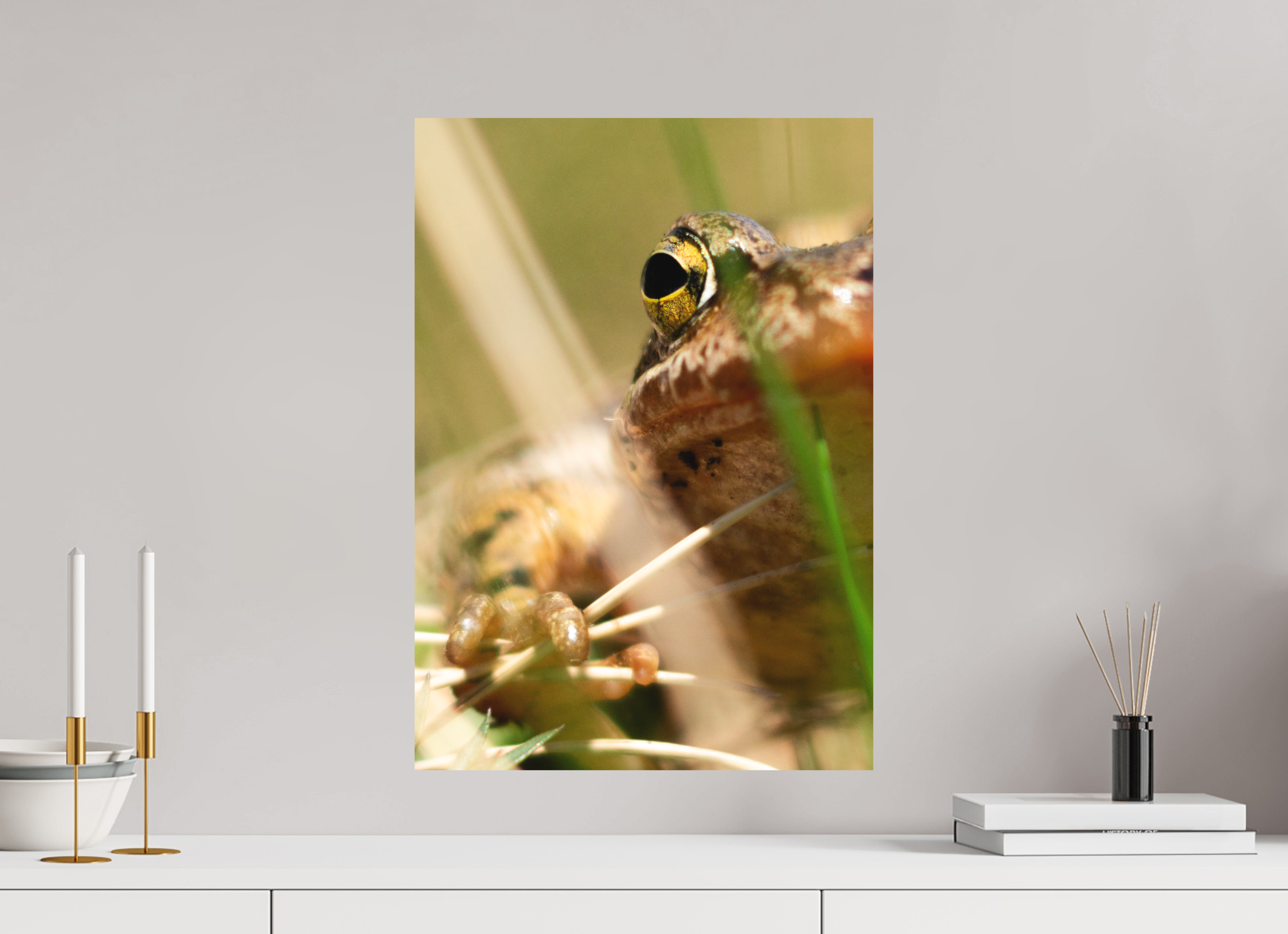 40 x 56,9 cm, Impression Fine Art sur support rigide - mat Grenouille Rousse