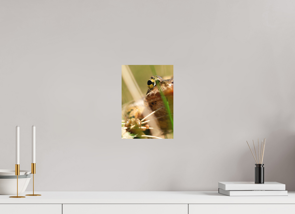 20 x 28,5 cm, Tirage photo - satiné Grenouille Rousse