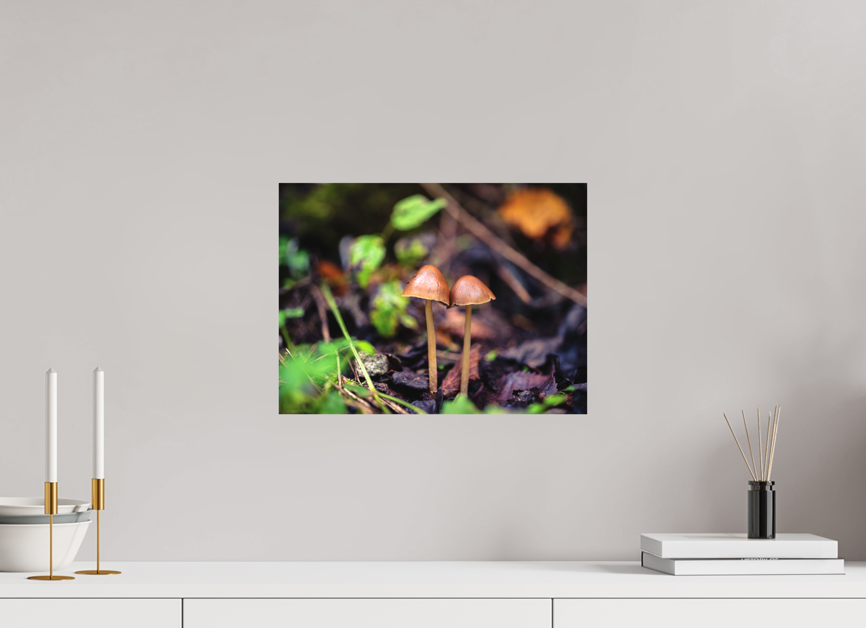 40 x 30 cm, Impression Fine Art sur support rigide - mat Champignons