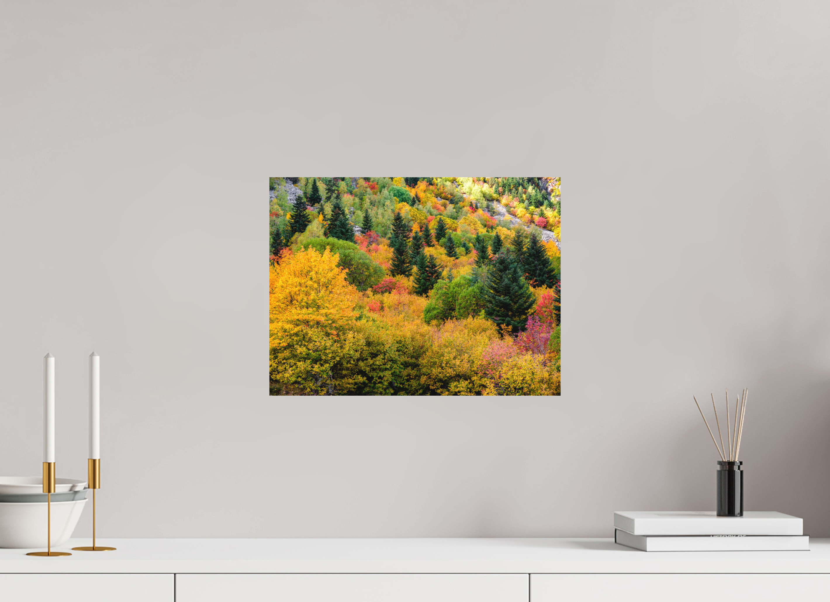 40 x 30 cm, Impression Fine Art - mat Forêt de couleurs