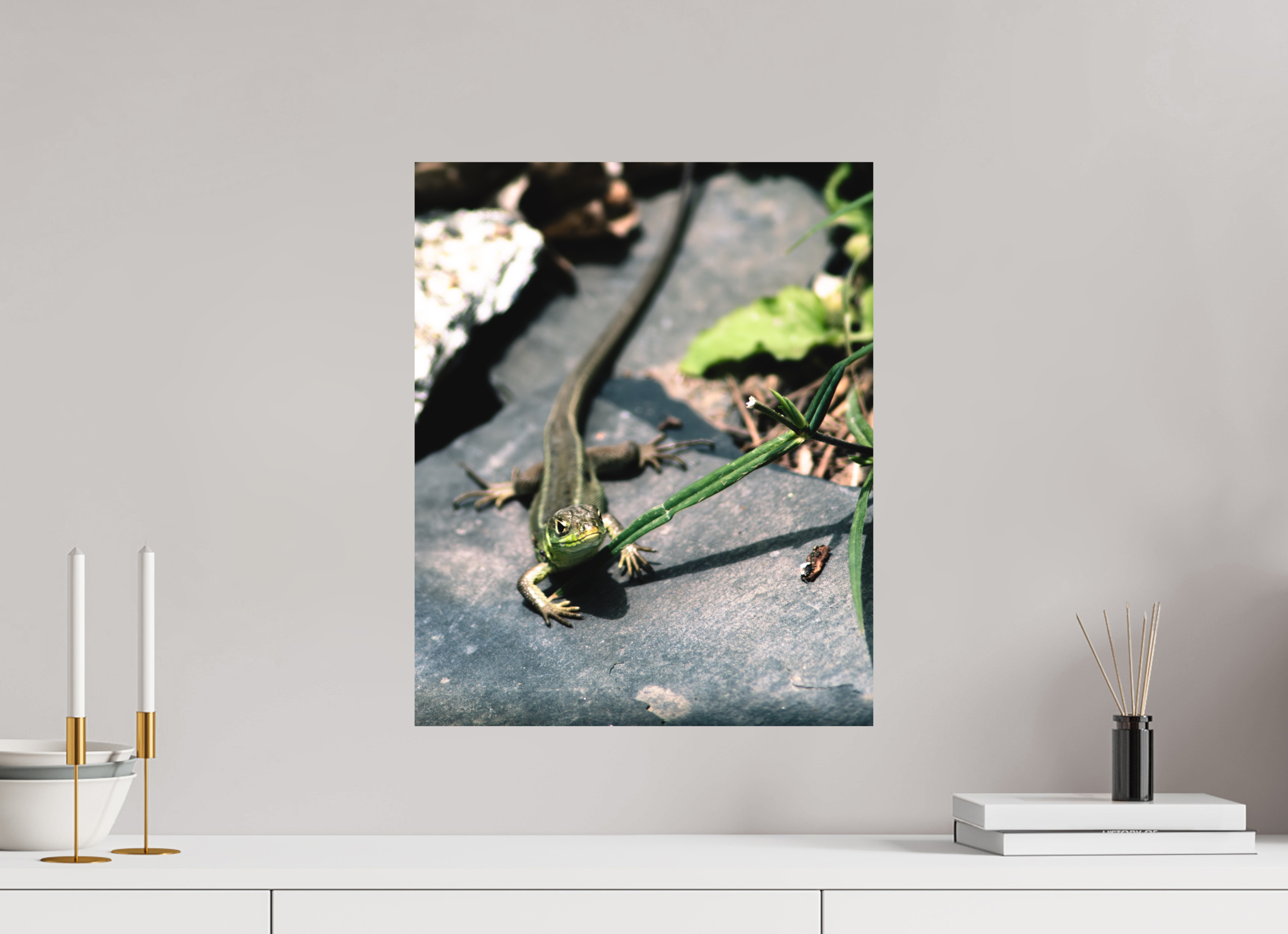 40 x 49,2 cm, Impression Fine Art sur support rigide - mat Lezard