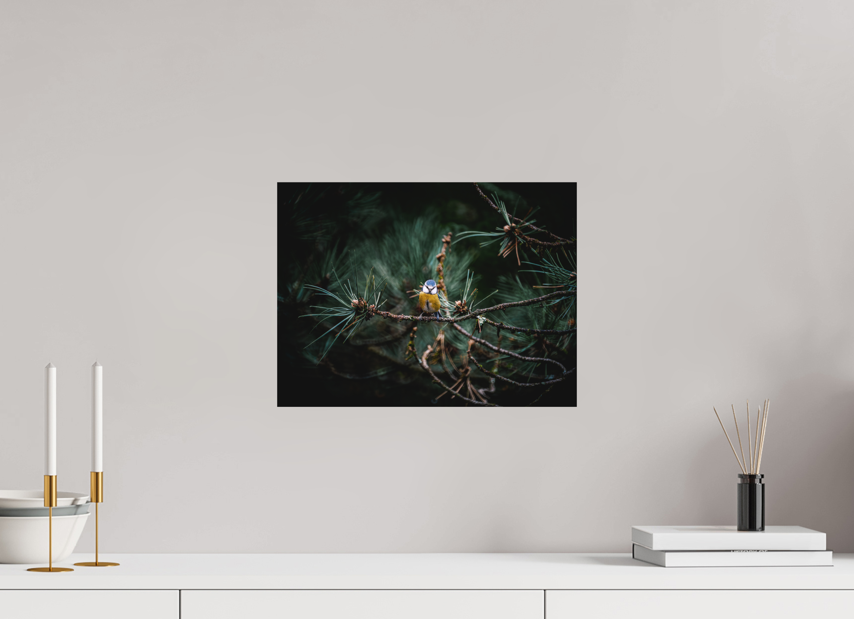 40 x 30 cm, Tirage photo - satiné Mésange II