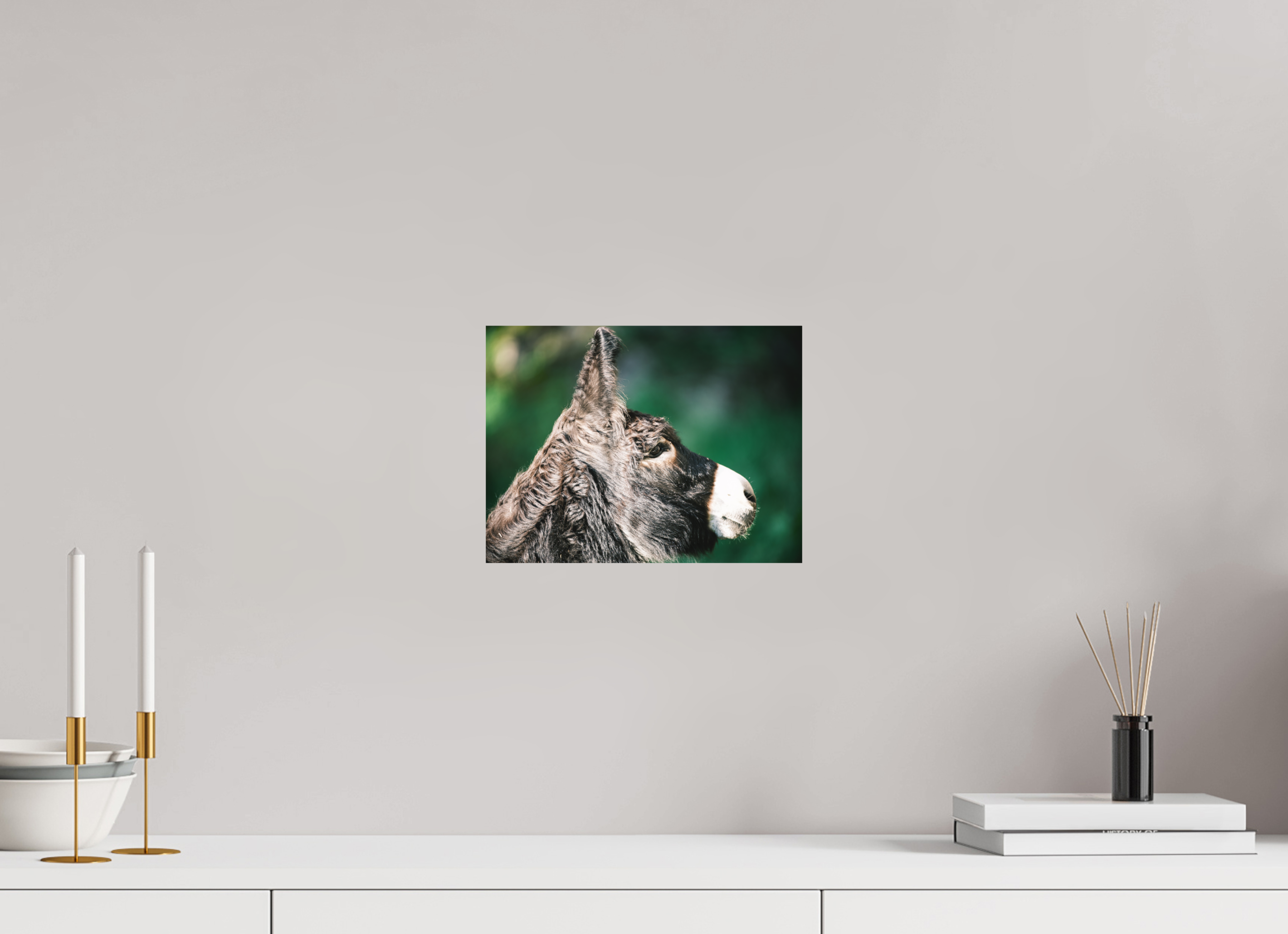 28 x 21 cm, Tirage photo - satiné Ane