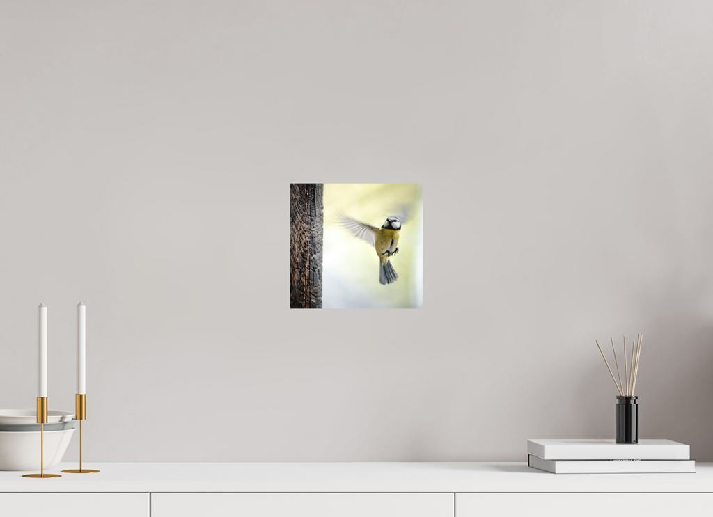 21,2 x 20 cm, Tirage photo - satiné mesange III