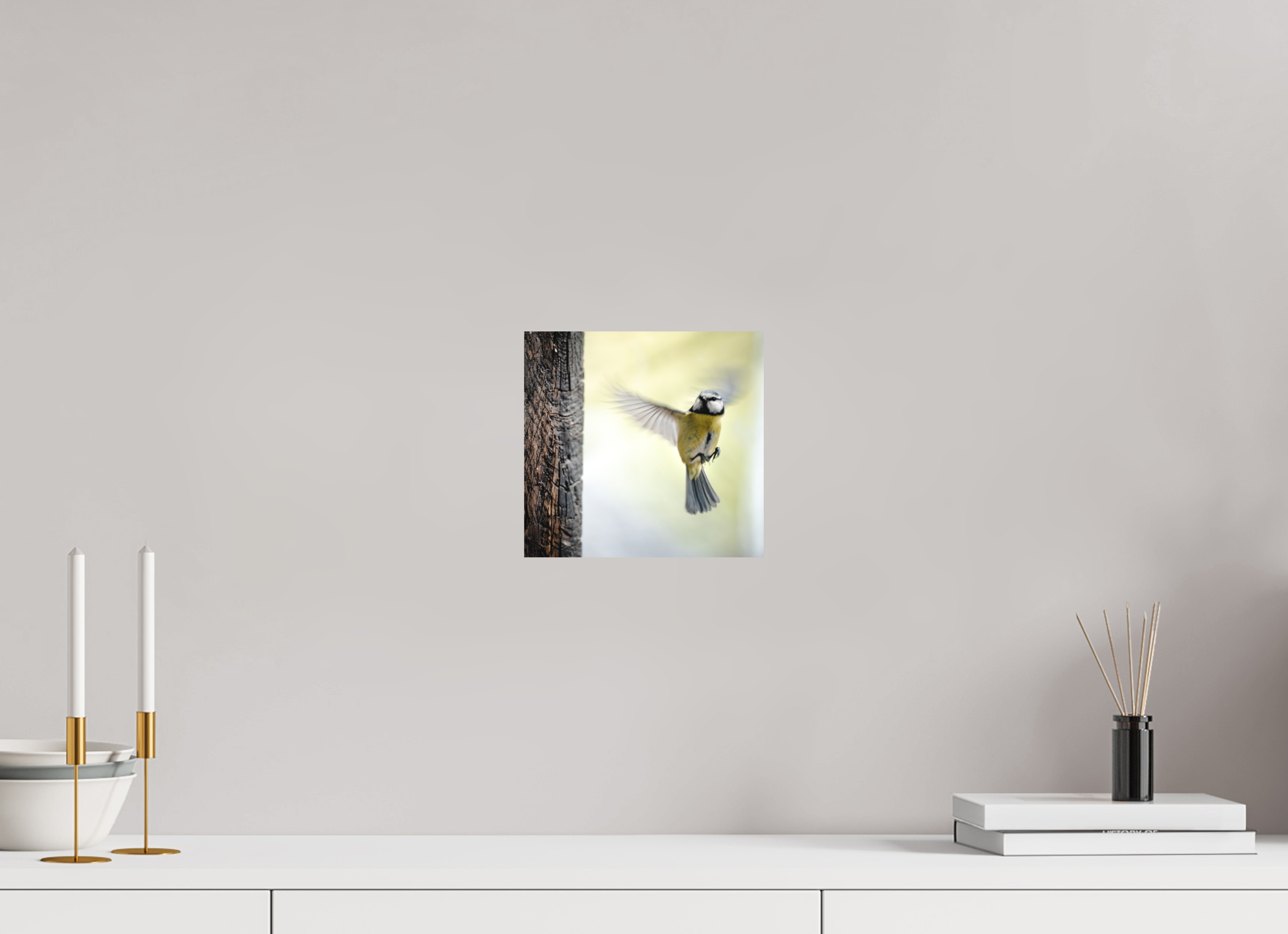 21,2 x 20 cm, Tirage photo - satiné mesange III