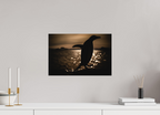 45 x 30 cm, Tirage photo - satiné Manchot Adélie et coucher de soleil