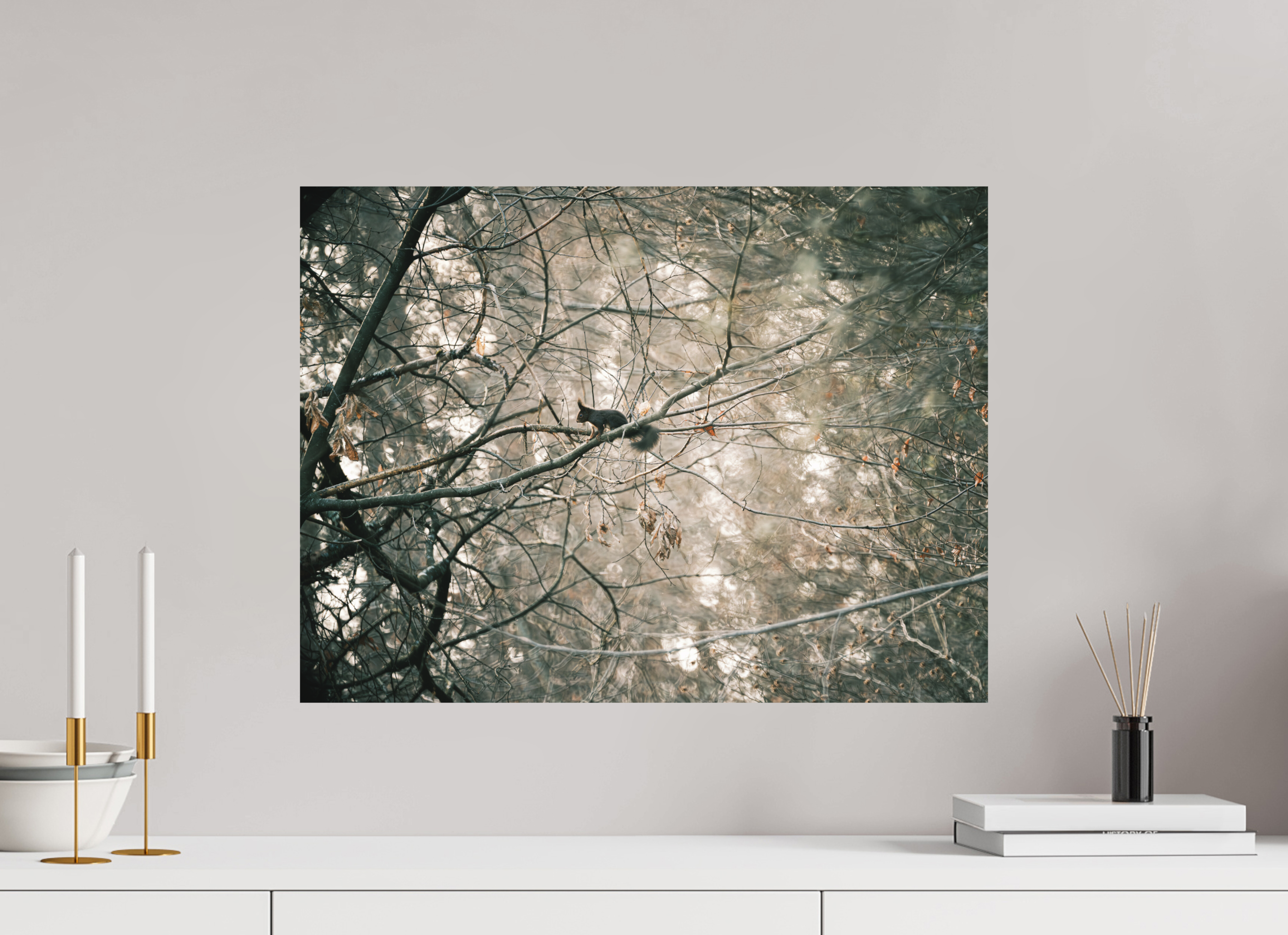 60 x 45 cm, Impression Fine Art sur support rigide - mat Ecureuil