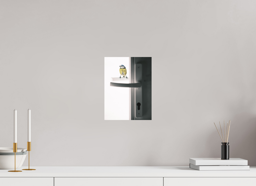 21 x 28 cm, Tirage photo - satiné mésange bleue