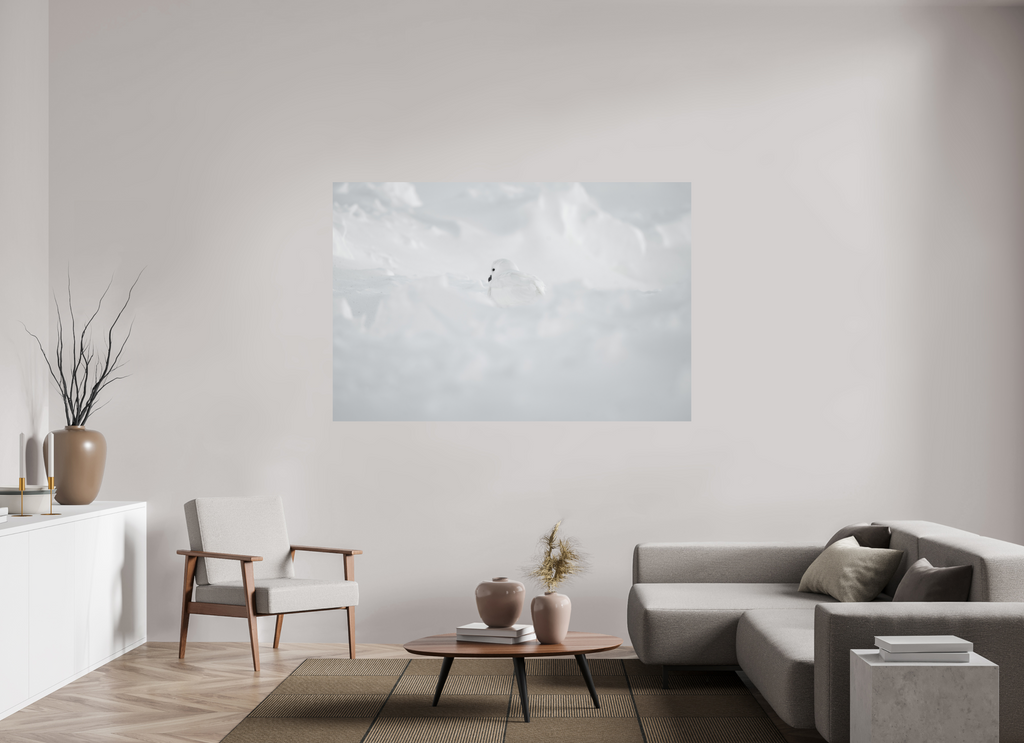 180 x 120 cm, Tirage photo - satiné Le Pétrel des Neiges