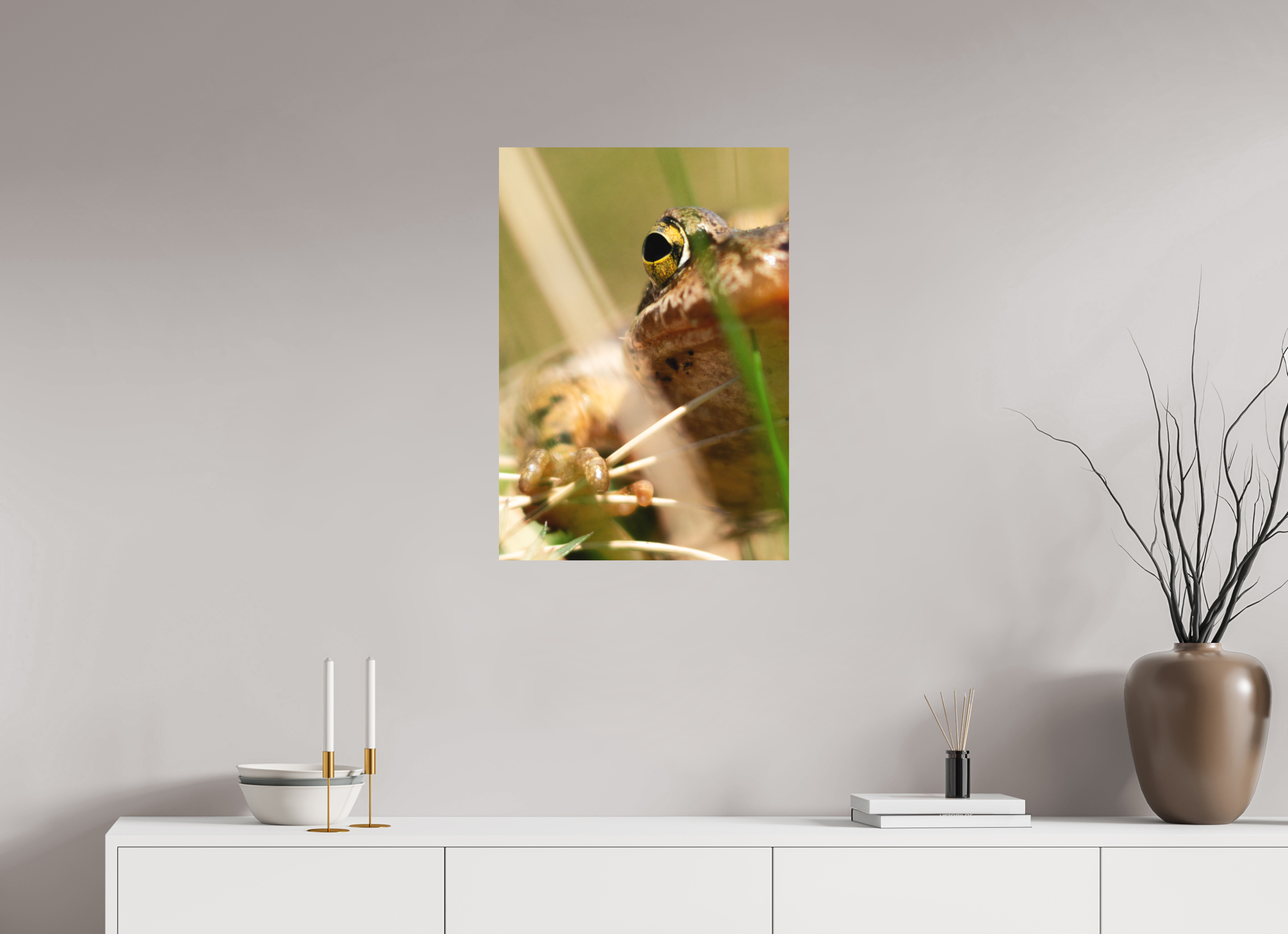 50 x 71,2 cm, Tirage photo - satiné Grenouille Rousse