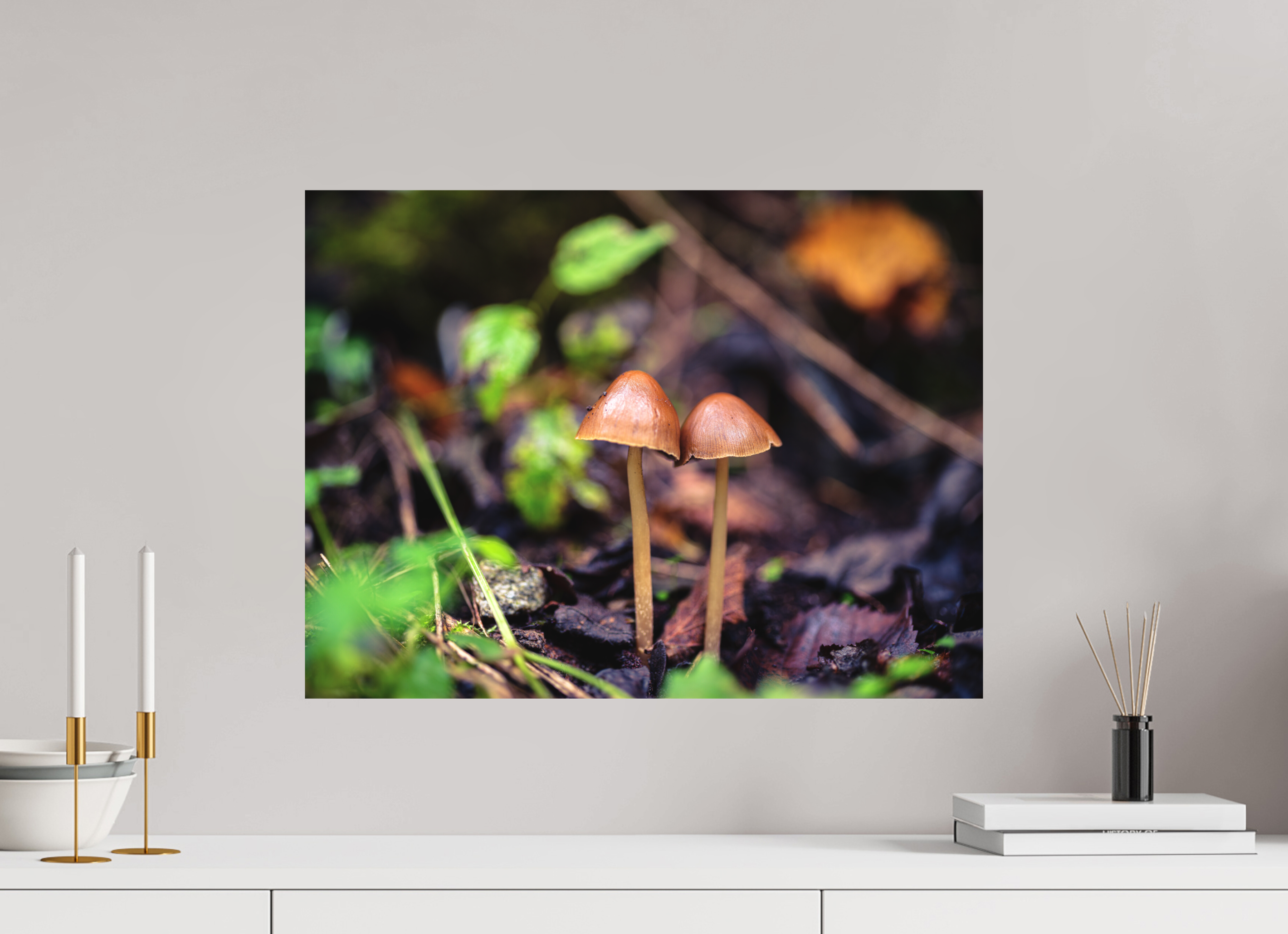 60 x 45 cm, Impression Fine Art - mat Champignons
