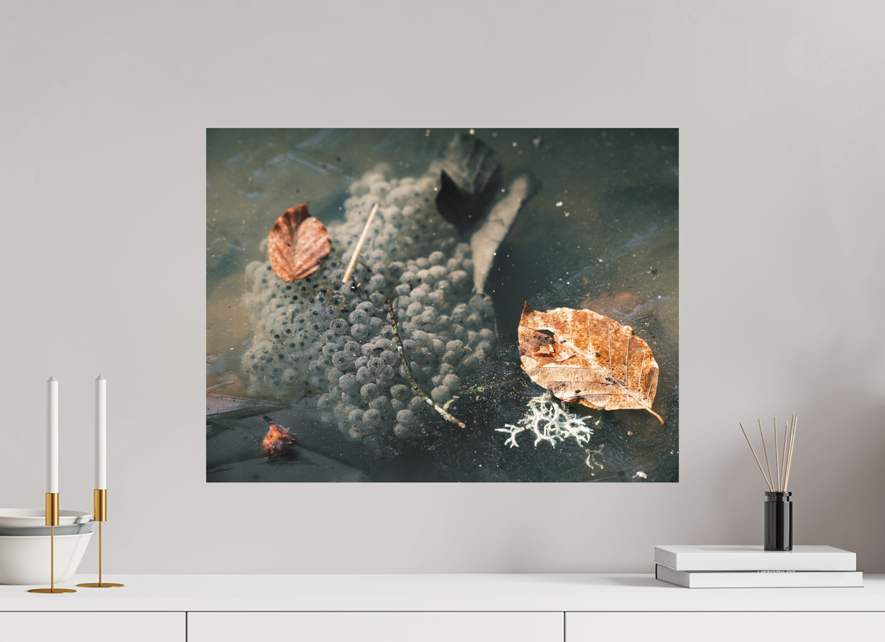 60 x 45 cm, Impression Fine Art sur support rigide - mat Oeufs