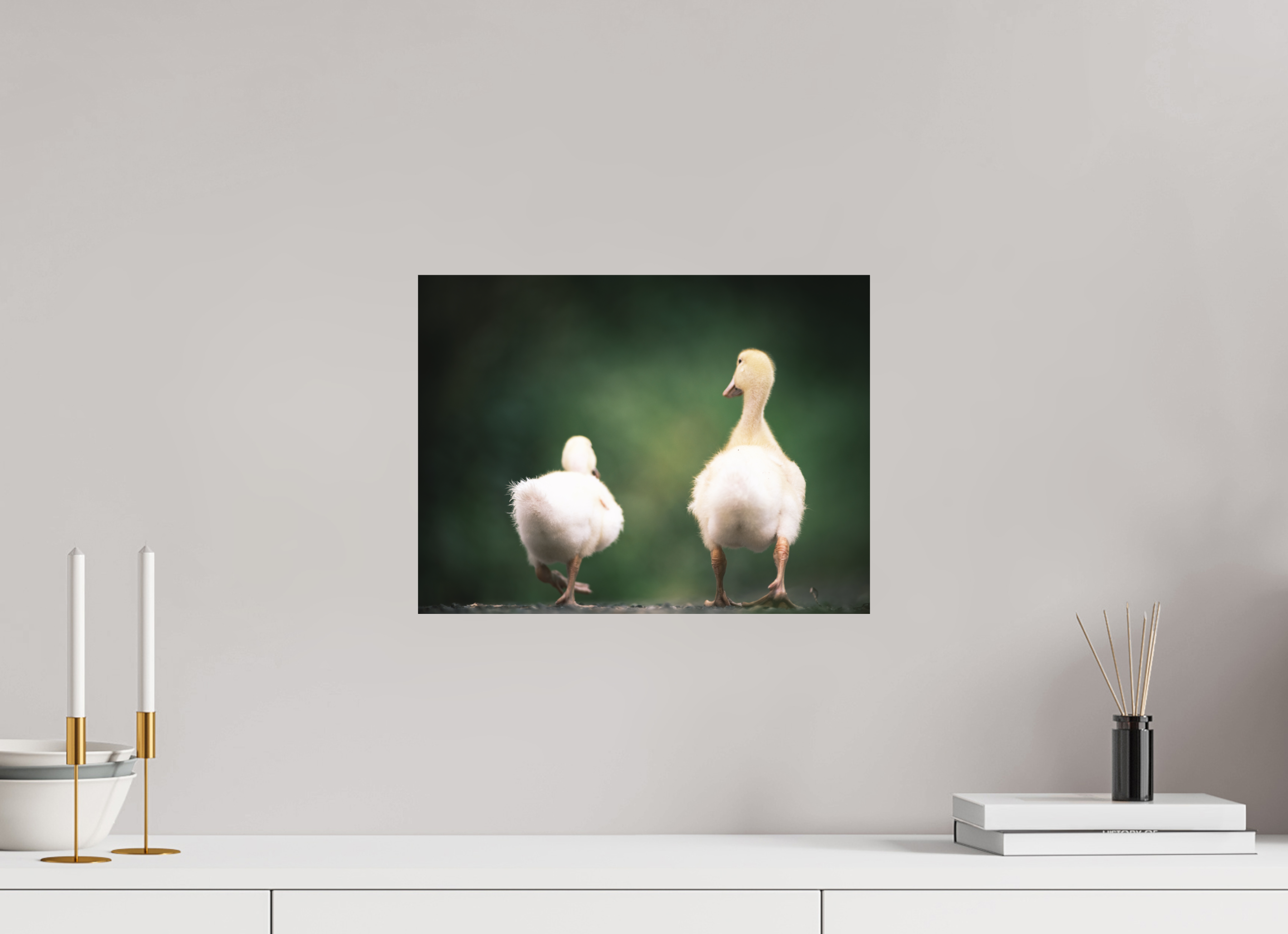 40 x 30 cm, Impression Fine Art - mat Canards I