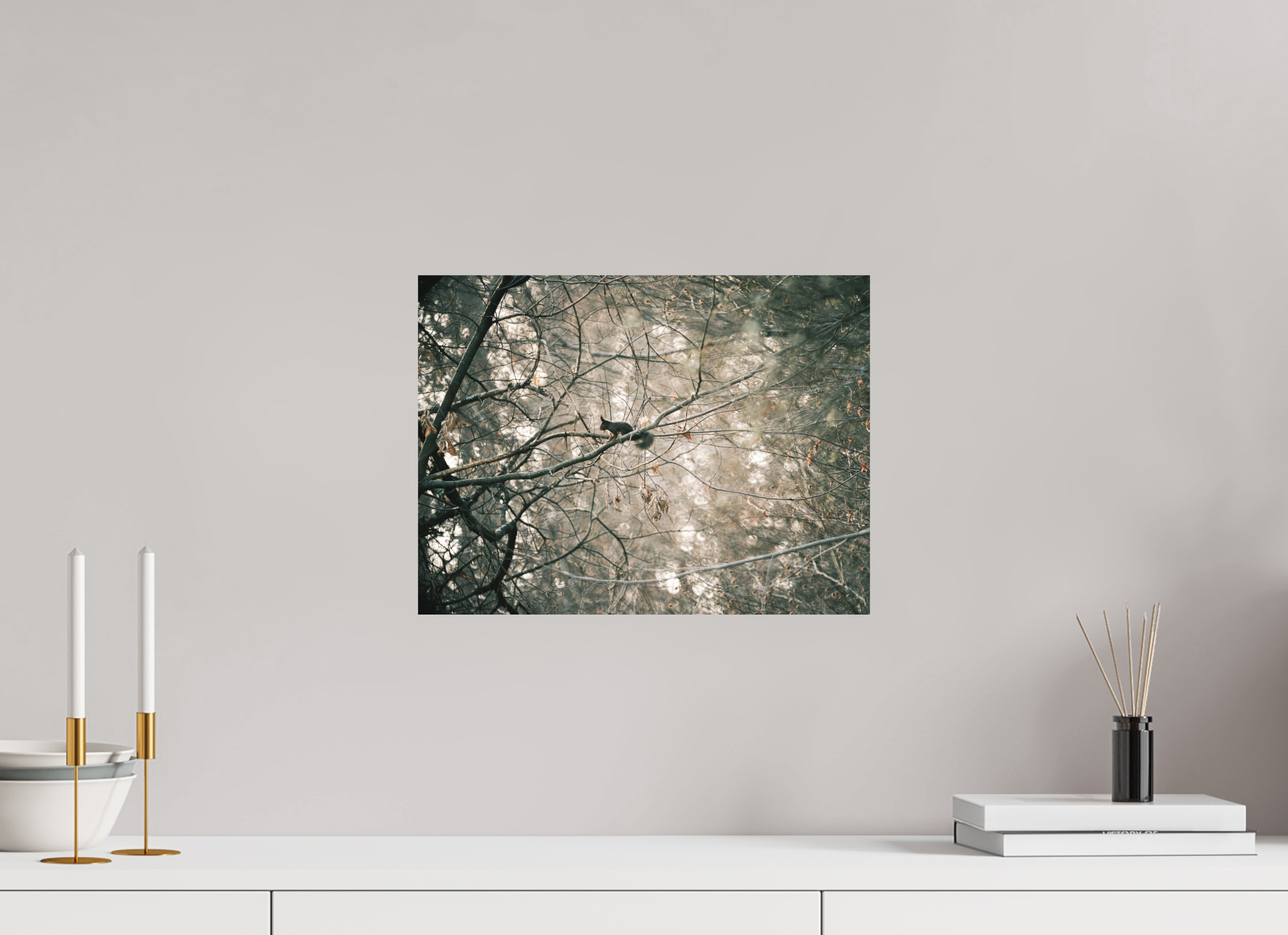 40 x 30 cm, Impression Fine Art - mat Ecureuil