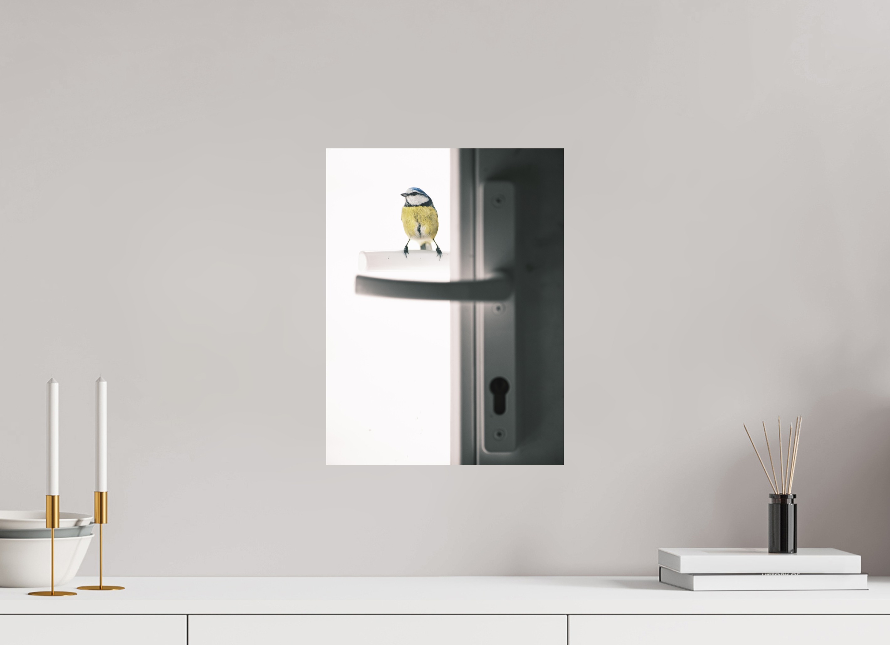 30 x 40 cm, Impression Fine Art sur support rigide - mat mésange bleue