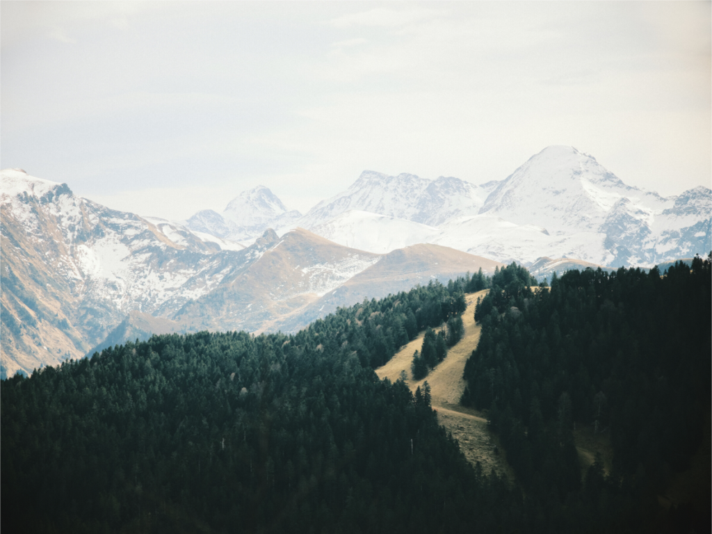 Main image Mourtis & Crabère