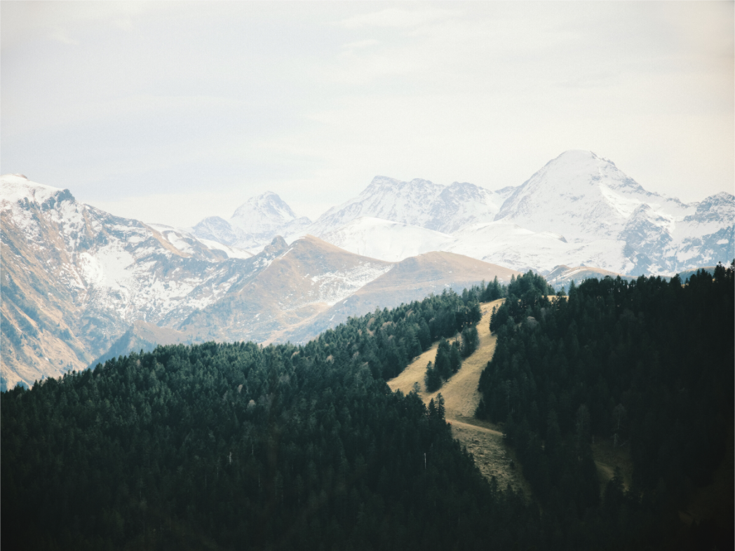 Main image Mourtis & Crabère