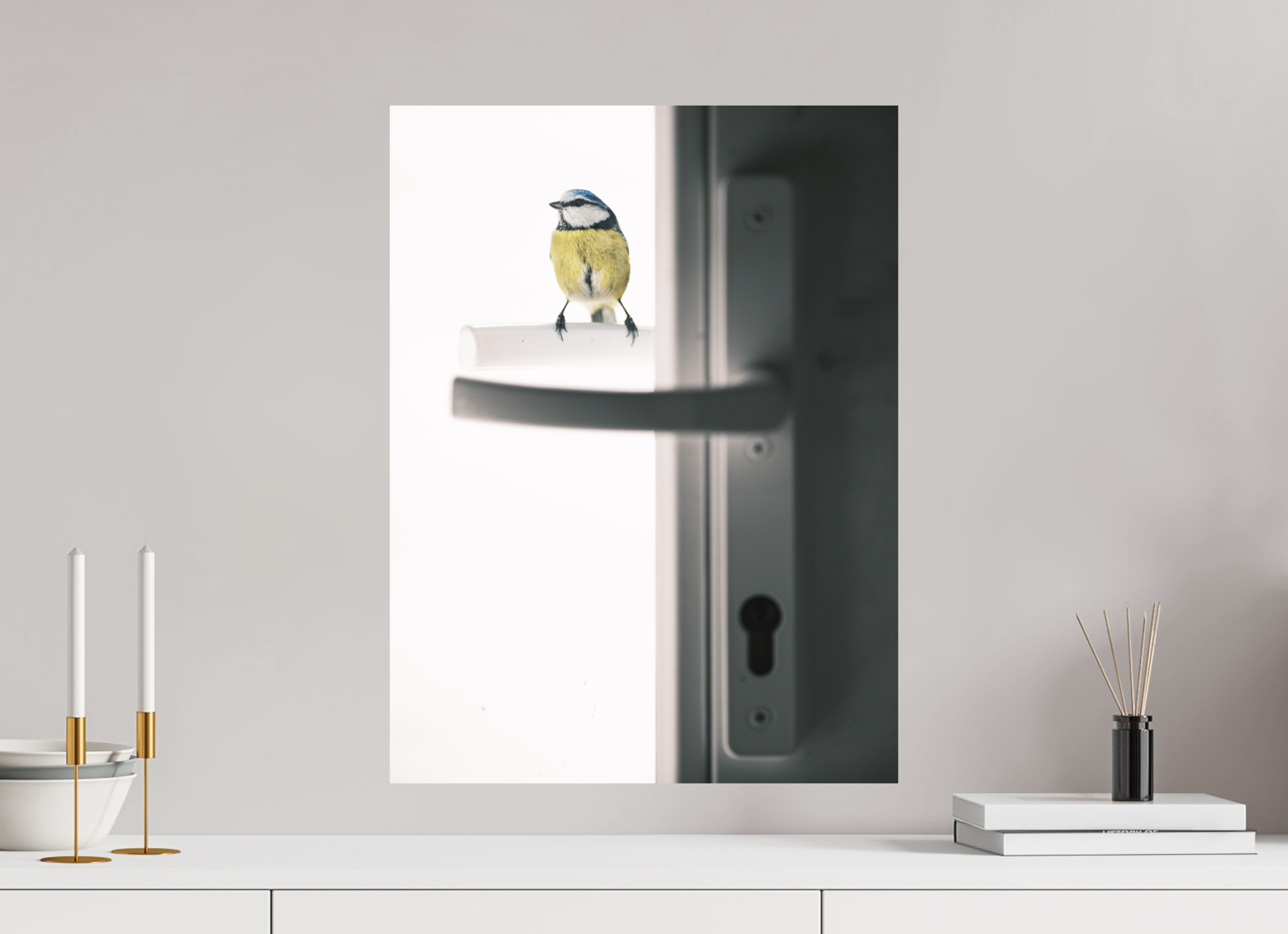 45 x 60 cm, Impression Fine Art - mat mésange bleue