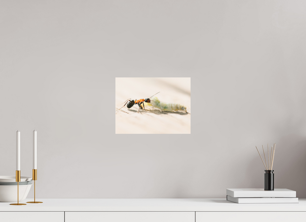 28 x 21 cm, Tirage photo - satiné Dur labeur