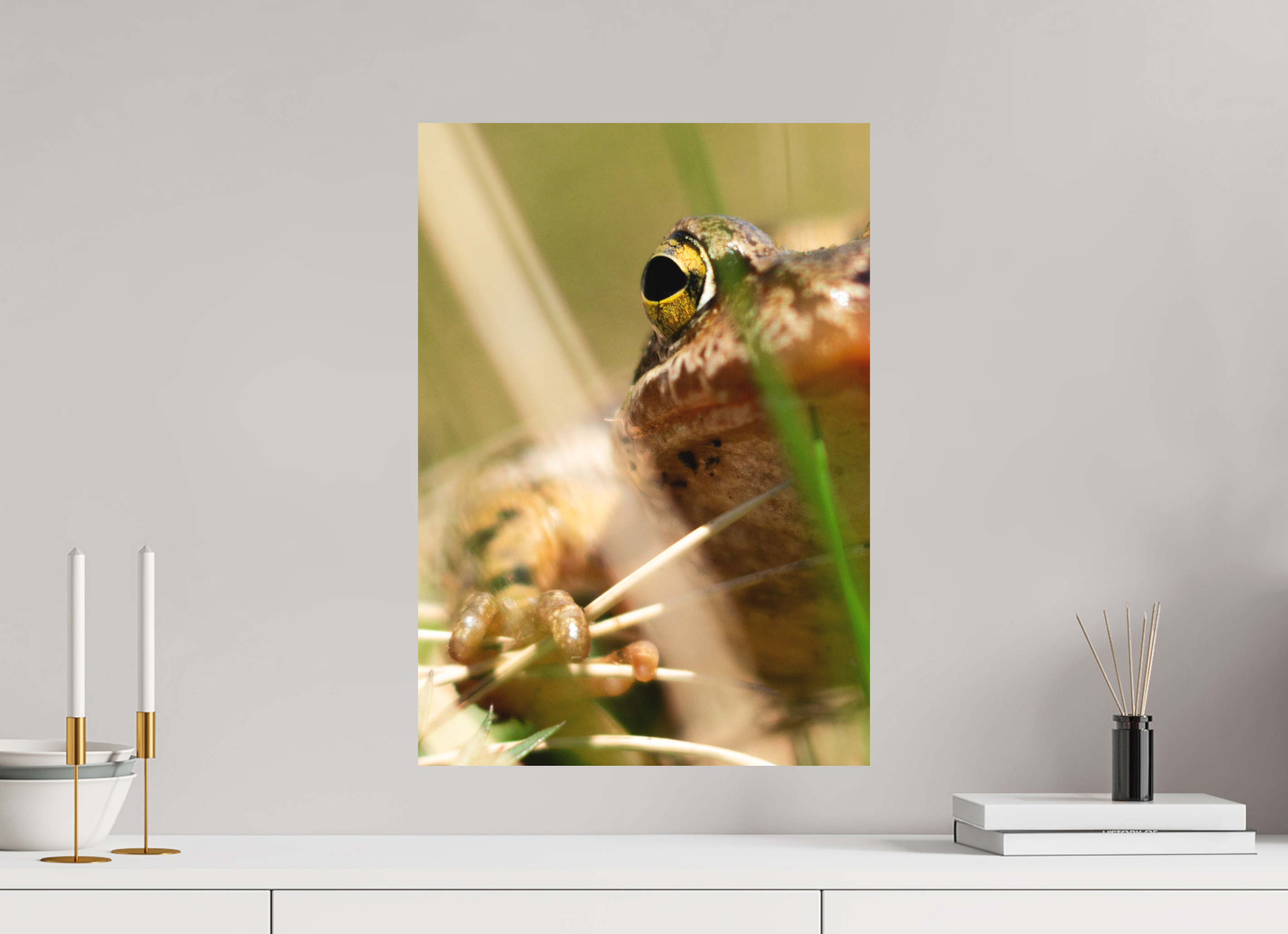 40 x 56,9 cm, Tirage photo - satiné Grenouille Rousse