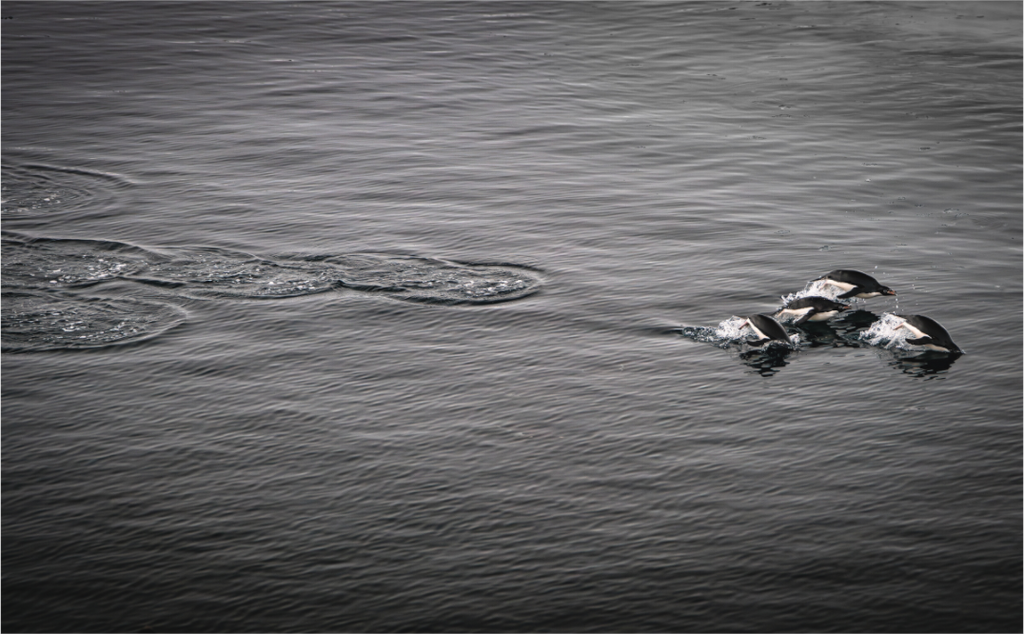 Main image Liberté synchronisée