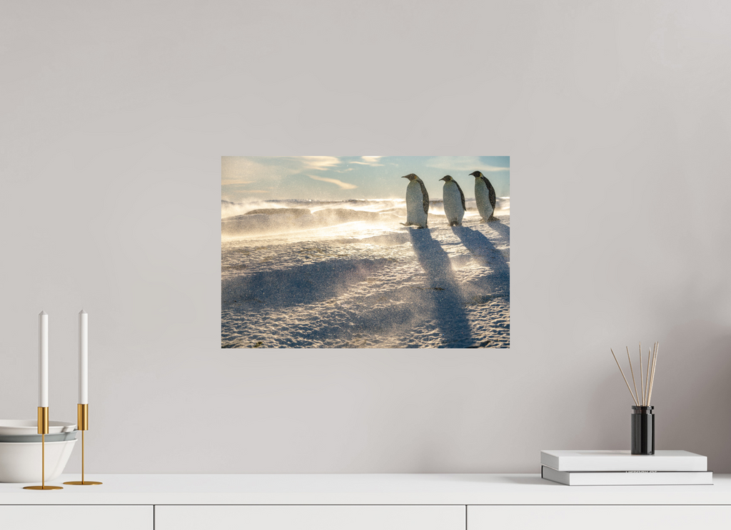 45 x 30 cm, Tirage photo - satiné La marche des Empereurs