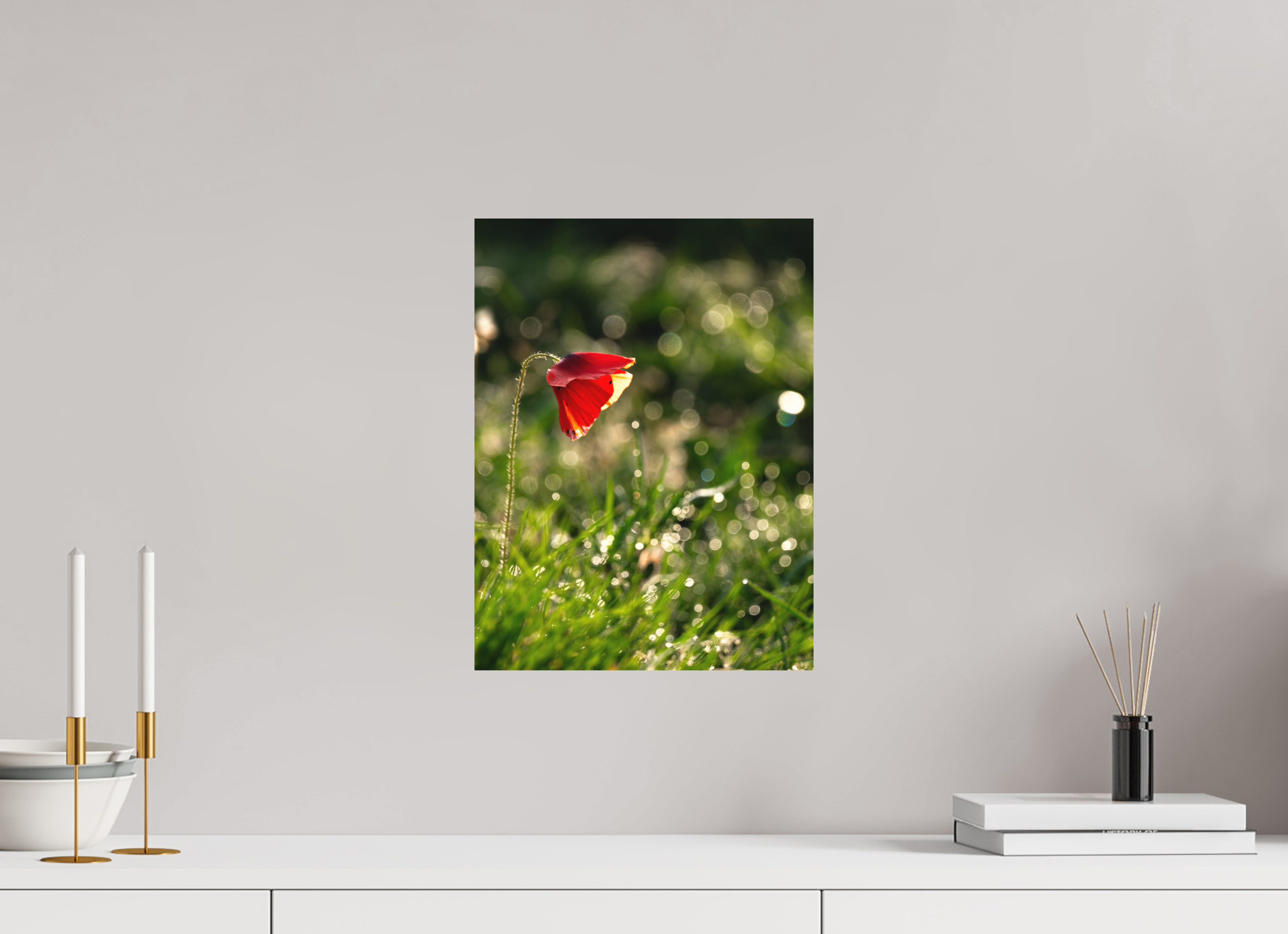 30 x 40 cm, Tirage photo - satiné coquelicot